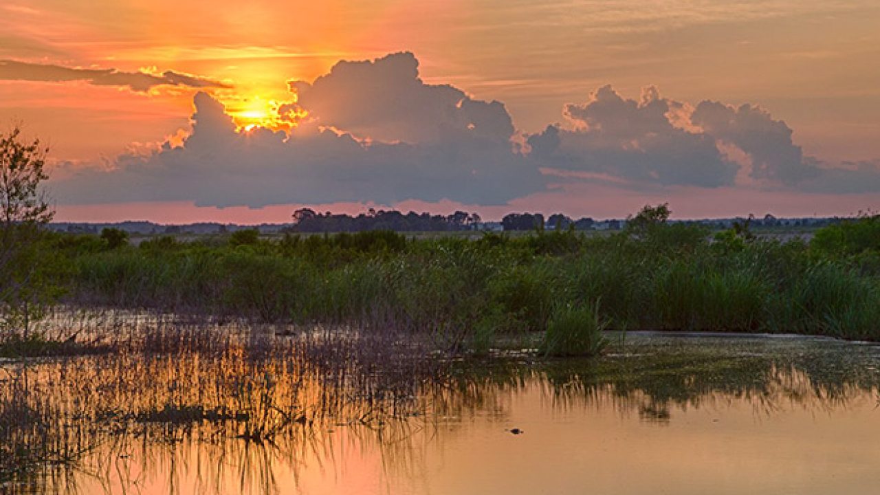 secrets-of-georgias-savannah-wildlife-refuge-tidal-creeks