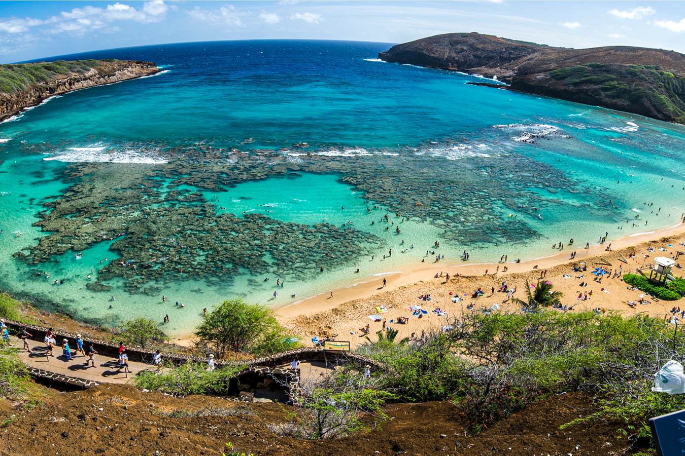 secrets-of-hawaiis-hanauma-bay-coral-gardens