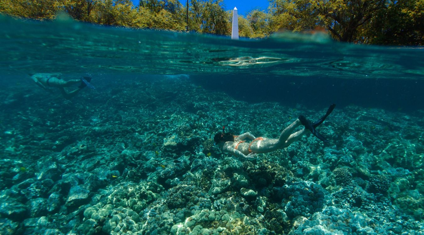 secrets-of-hawaiis-kealakekua-bay-coral-garden-snorkeling