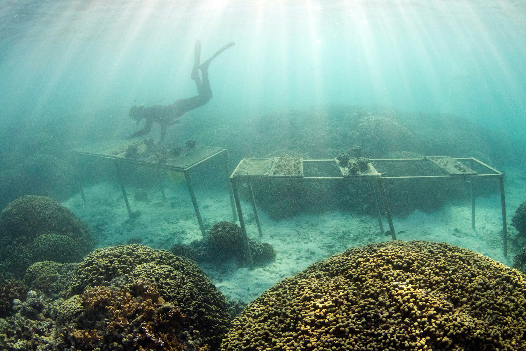 secrets-of-hawaiis-marine-biology-research-institute