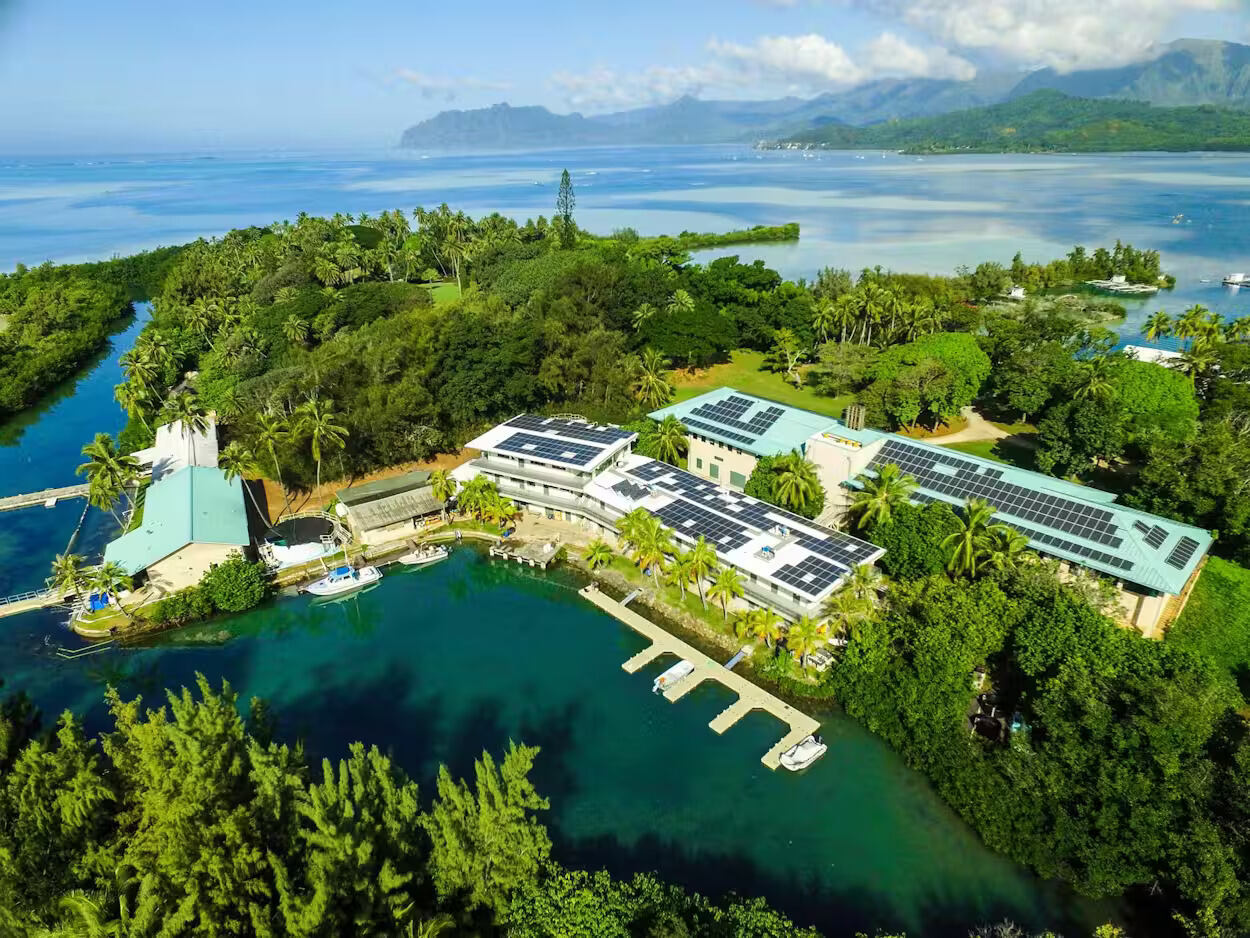 secrets-of-hawaiis-marine-research-foundation