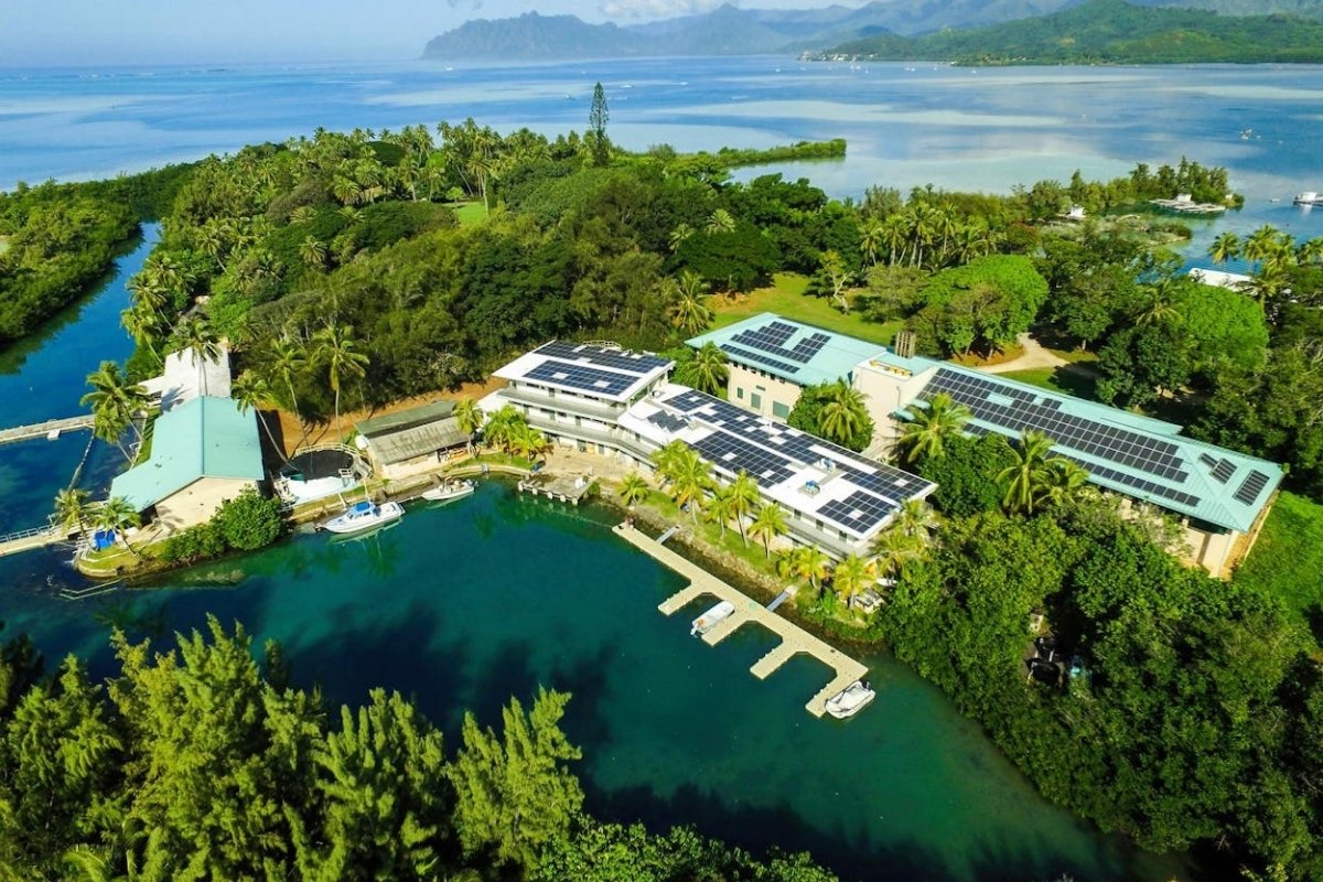 secrets-of-hawaiis-marine-research-network