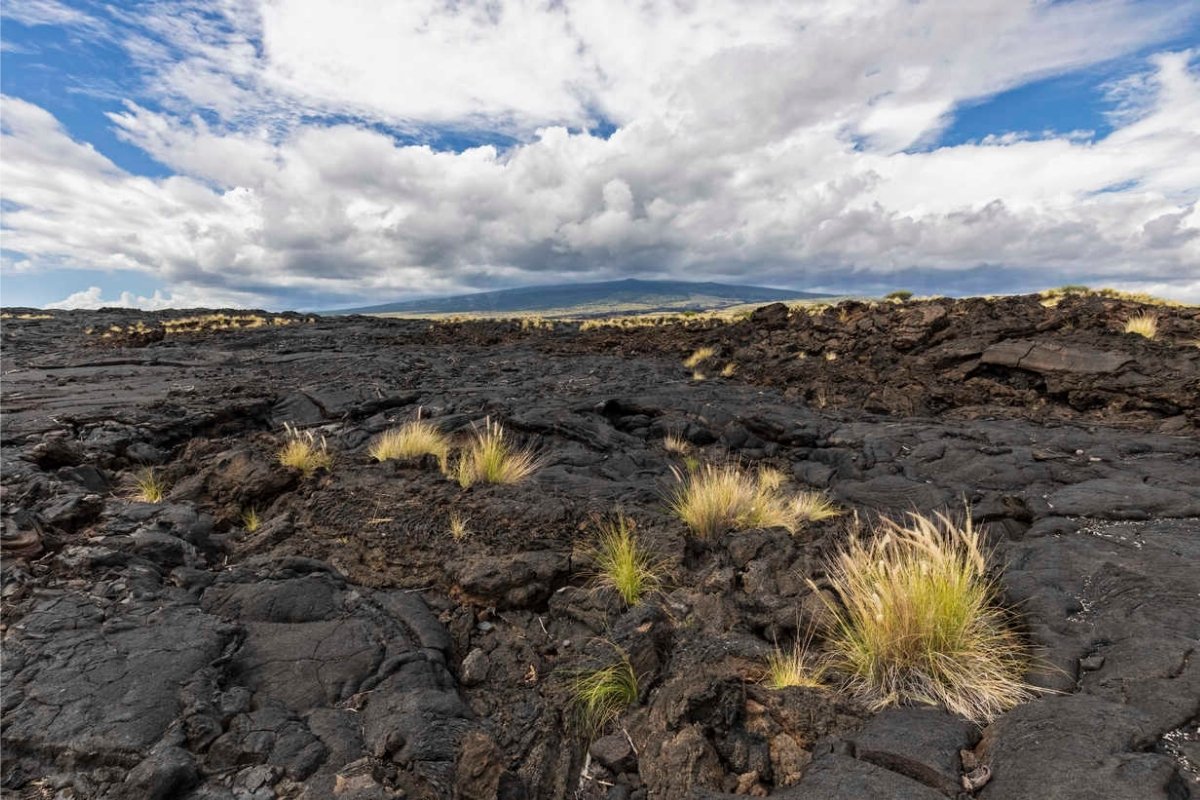 secrets-of-hawaiis-mauna-loa-volcanic-fields