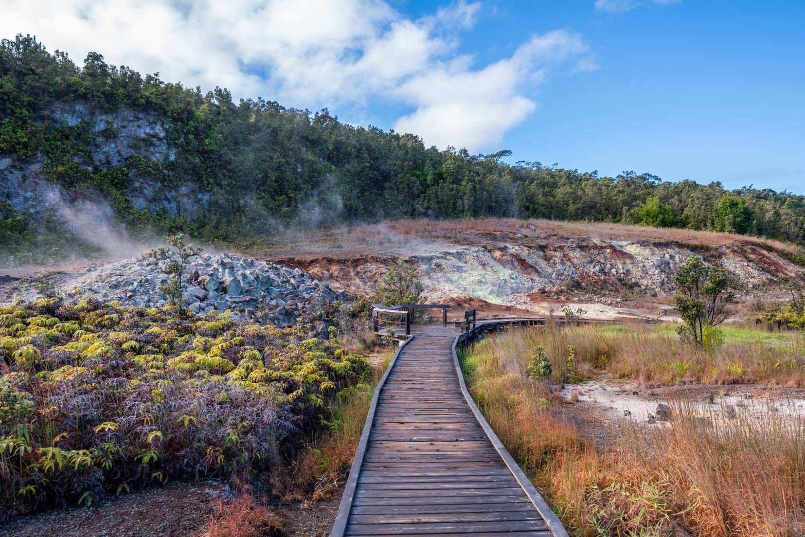 secrets-of-hawaiis-sulphur-banks-volcanic-vents
