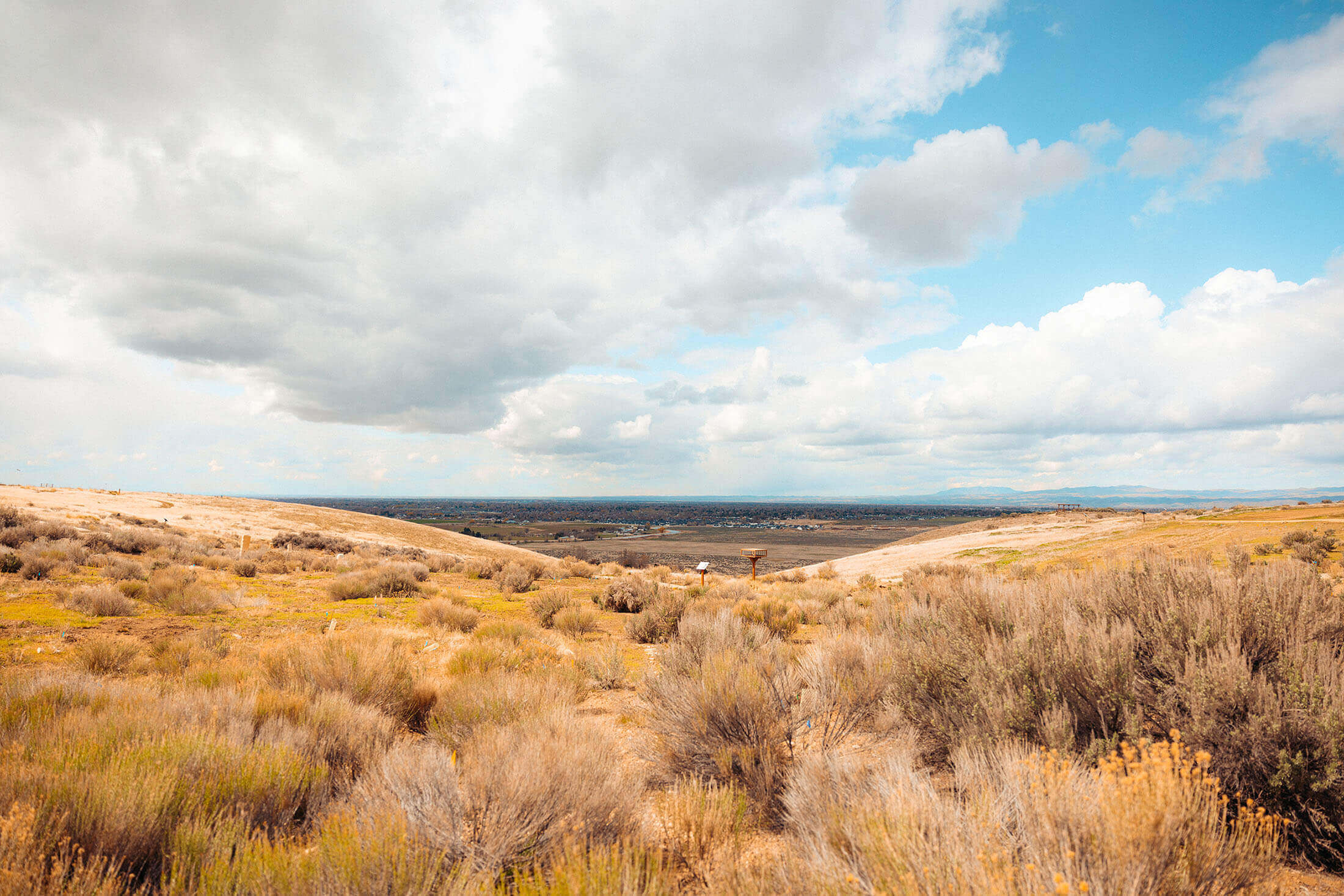 Secrets-Of-Idaho8217s-Prairie-Falcon-Habitats secrets-of-idahos-prairie-falcon-habitats