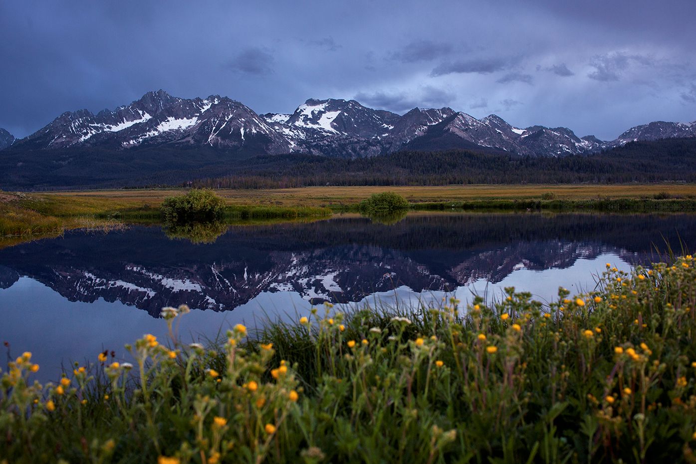 secrets-of-idahos-stanley-basin-hot-springs-algae