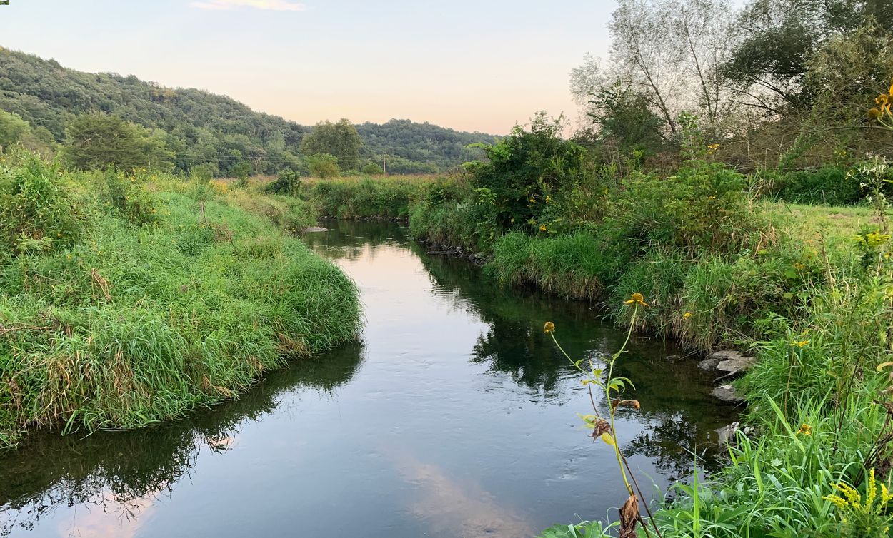 secrets-of-iowas-decorah-area-trout-pools