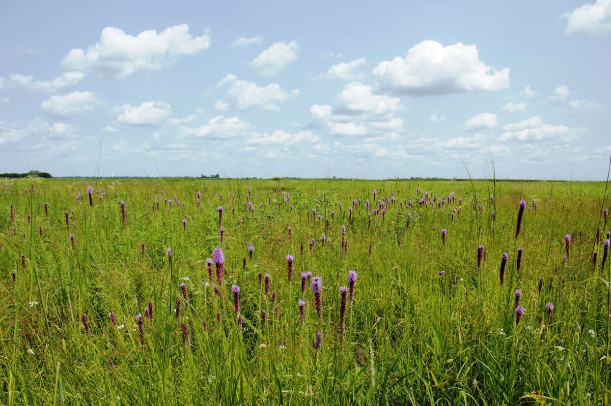 secrets-of-iowas-doolittle-prairie