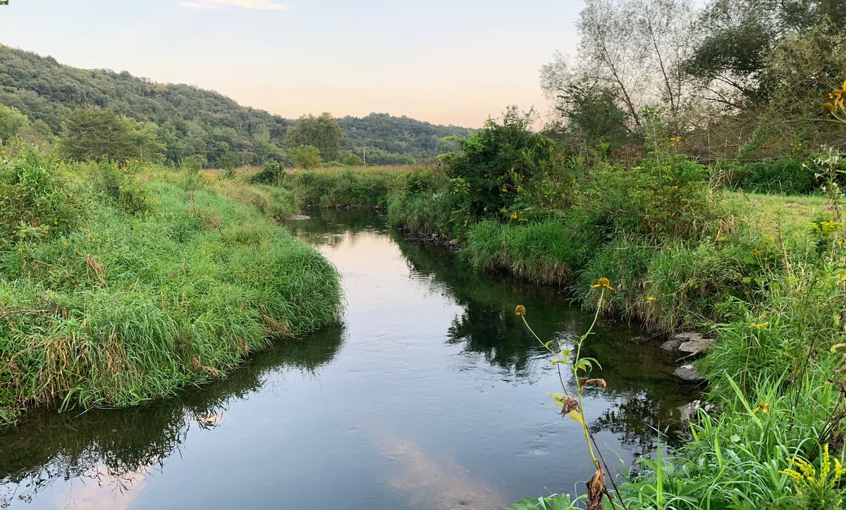 secrets-of-iowas-driftless-area-trout-pools