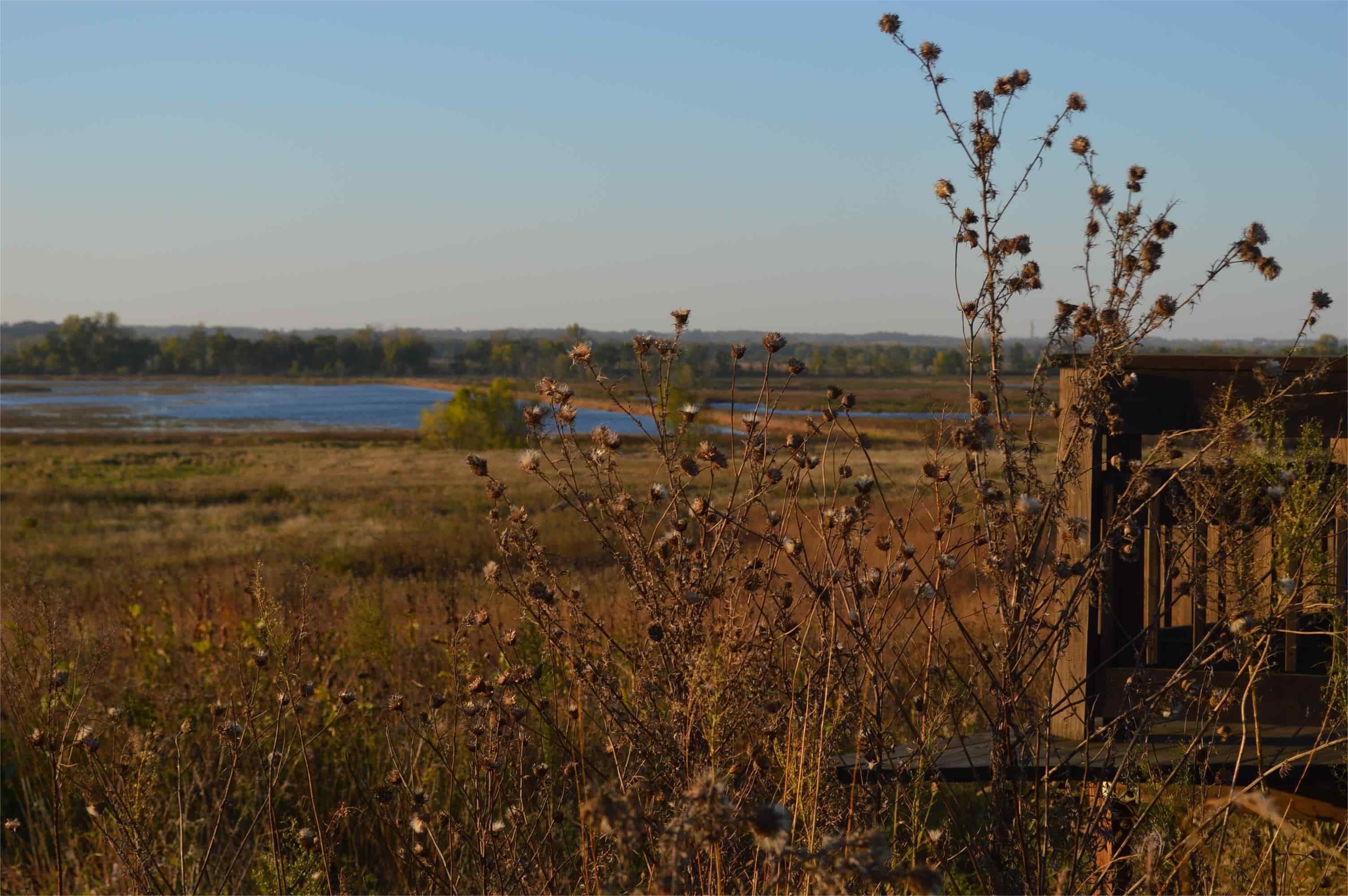 secrets-of-iowas-otter-creek-sloughs