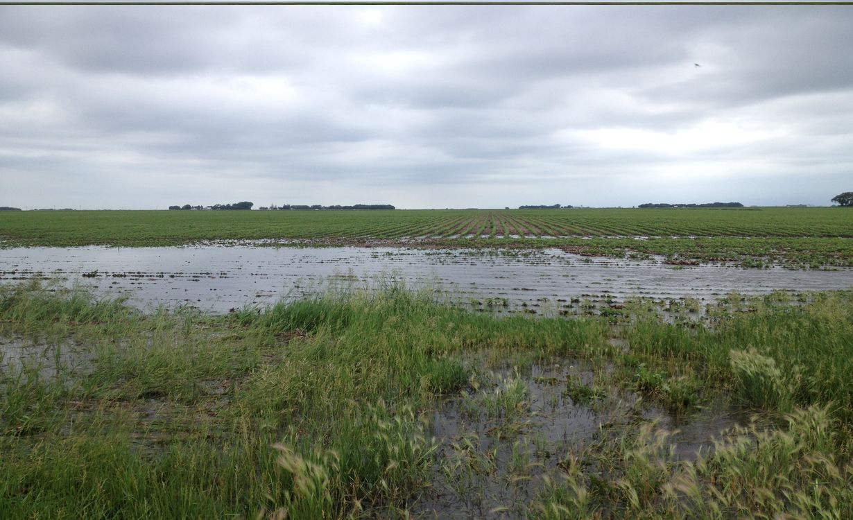 secrets-of-iowas-prairie-pothole-wetlands