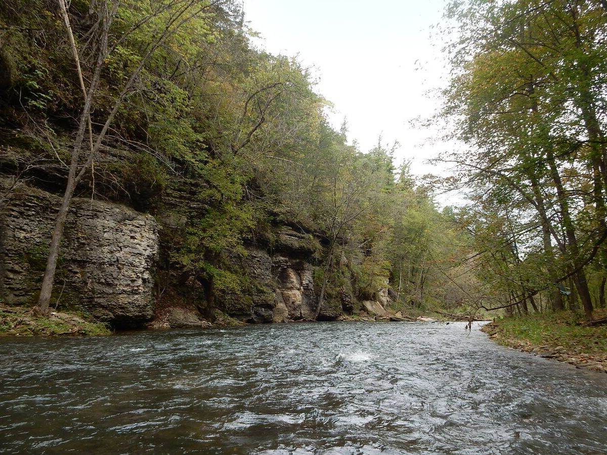 secrets-of-iowas-root-river-trout-spawning-beds