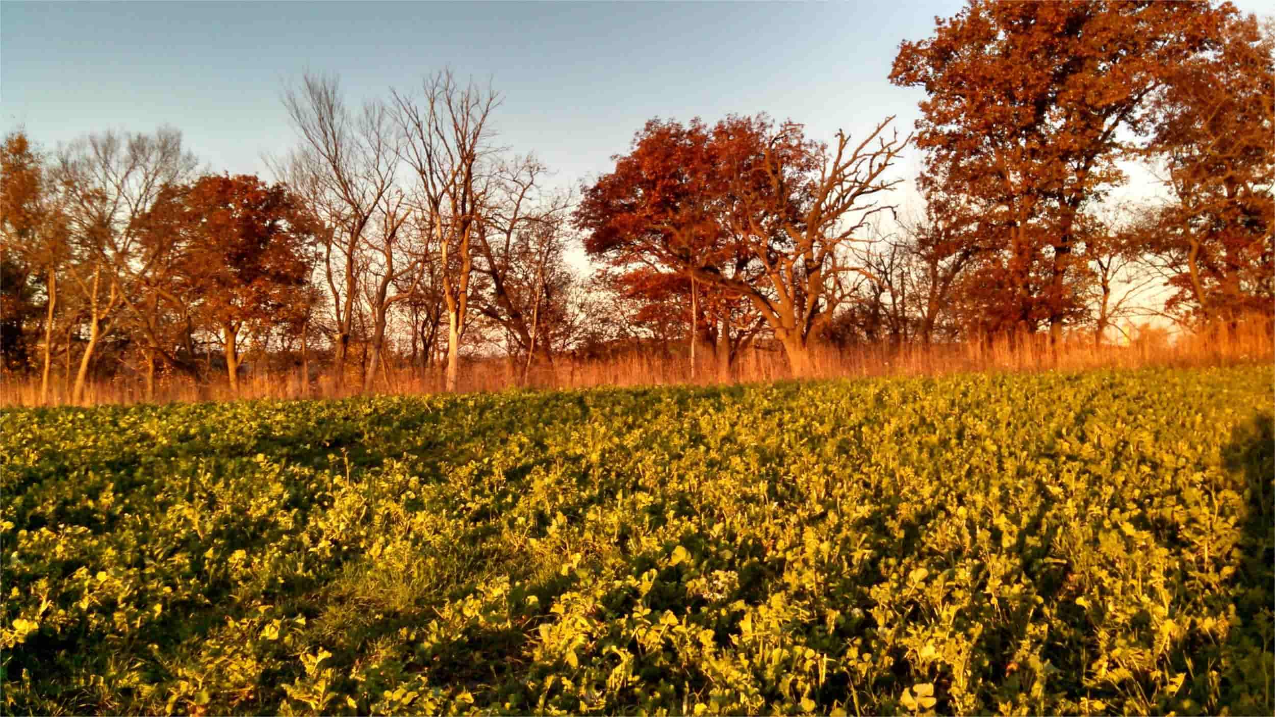 secrets-of-iowas-sustainable-agriculture-projects