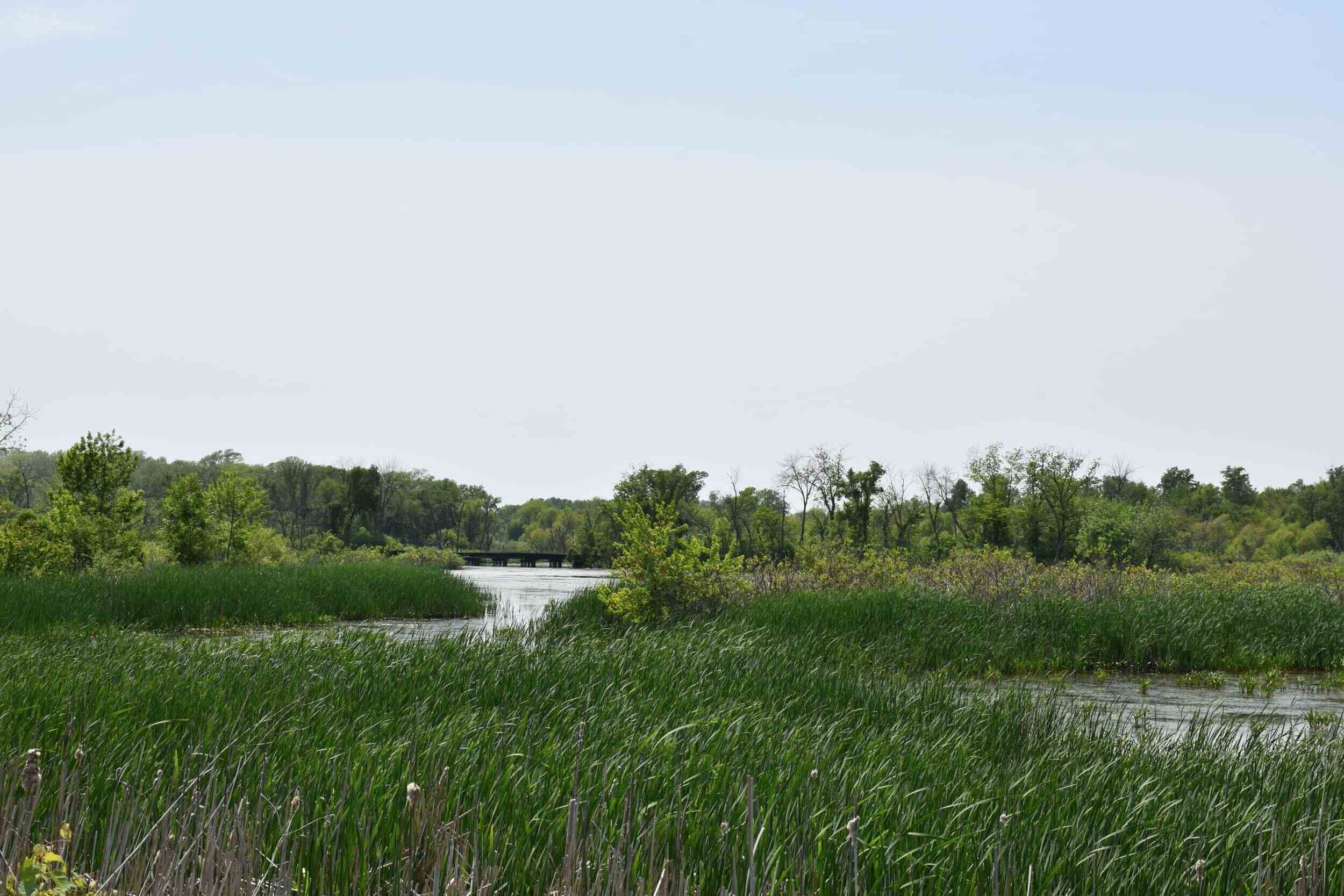 secrets-of-iowas-union-slough-refuge-wetlands
