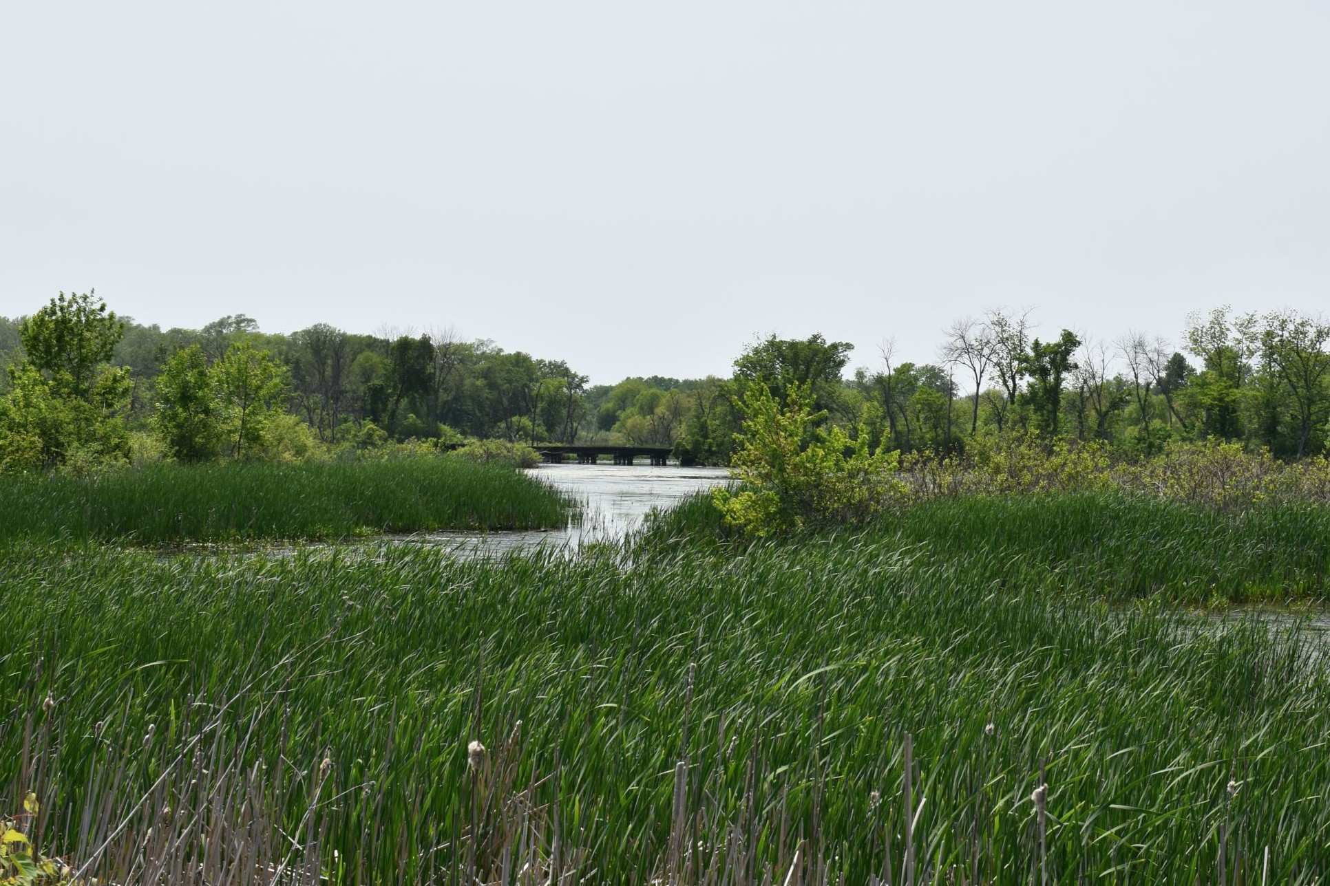 secrets-of-iowas-union-slough-wetlands