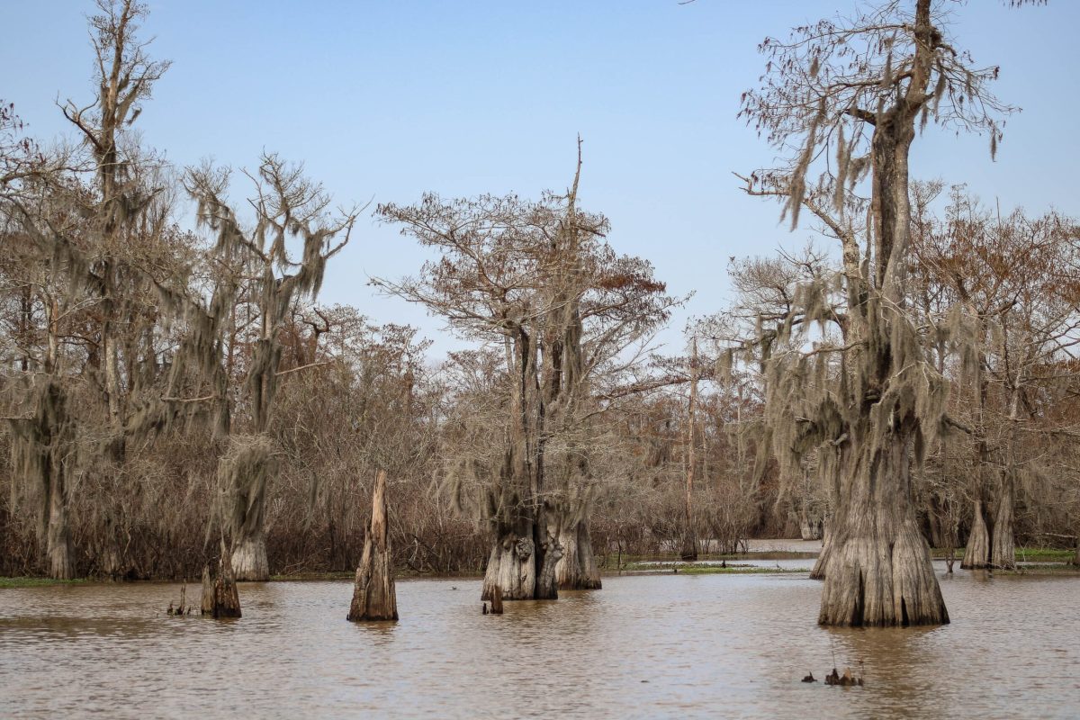 secrets-of-iowas-walnut-creek-refuge-wetlands
