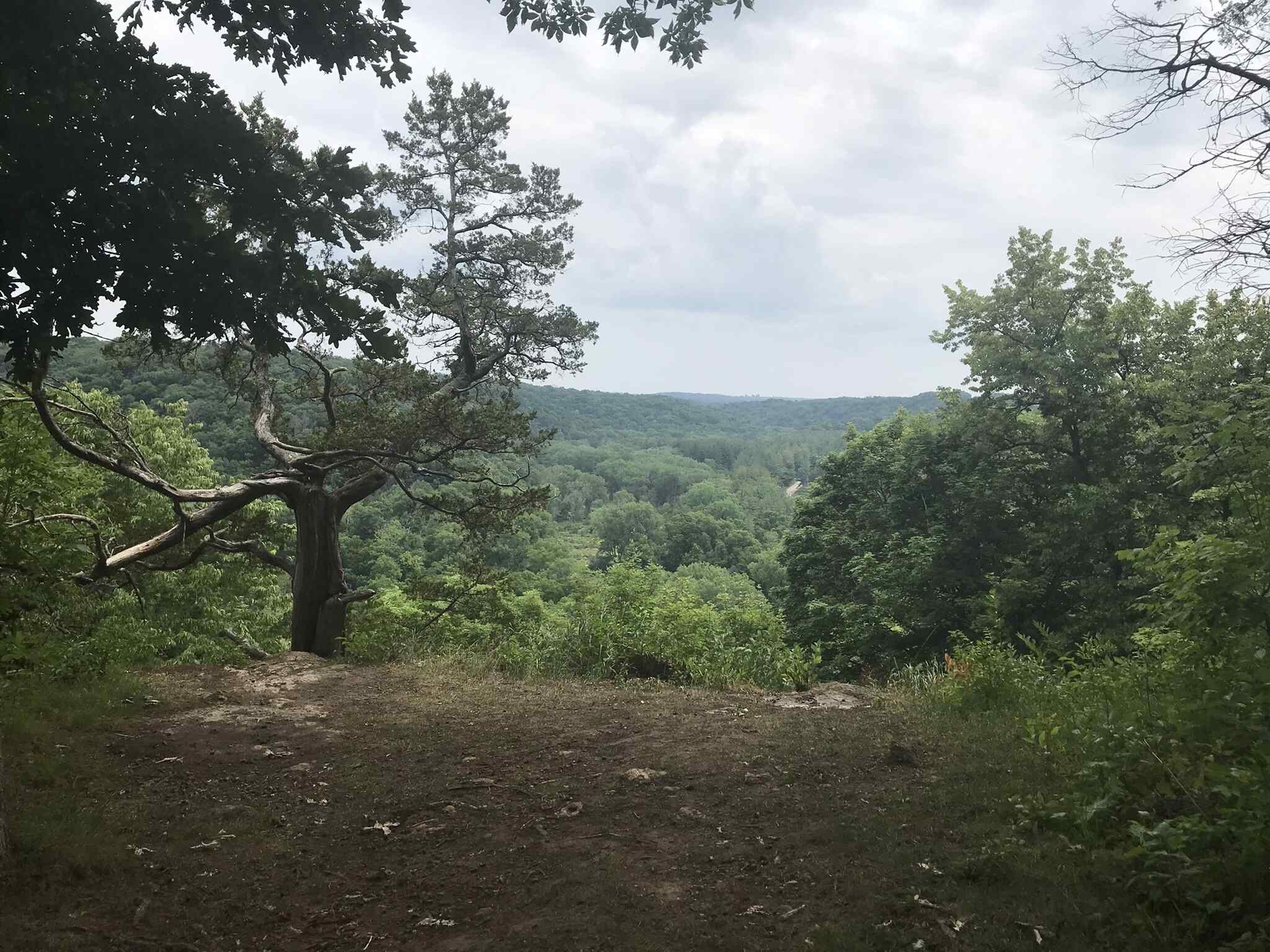 secrets-of-iowas-yellow-river-state-forest-streams