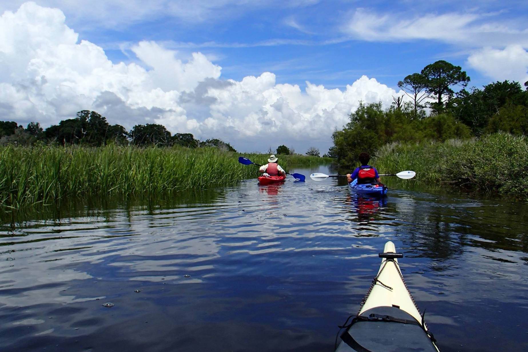 secrets-of-jekyll-islands-tidal-creek-channels