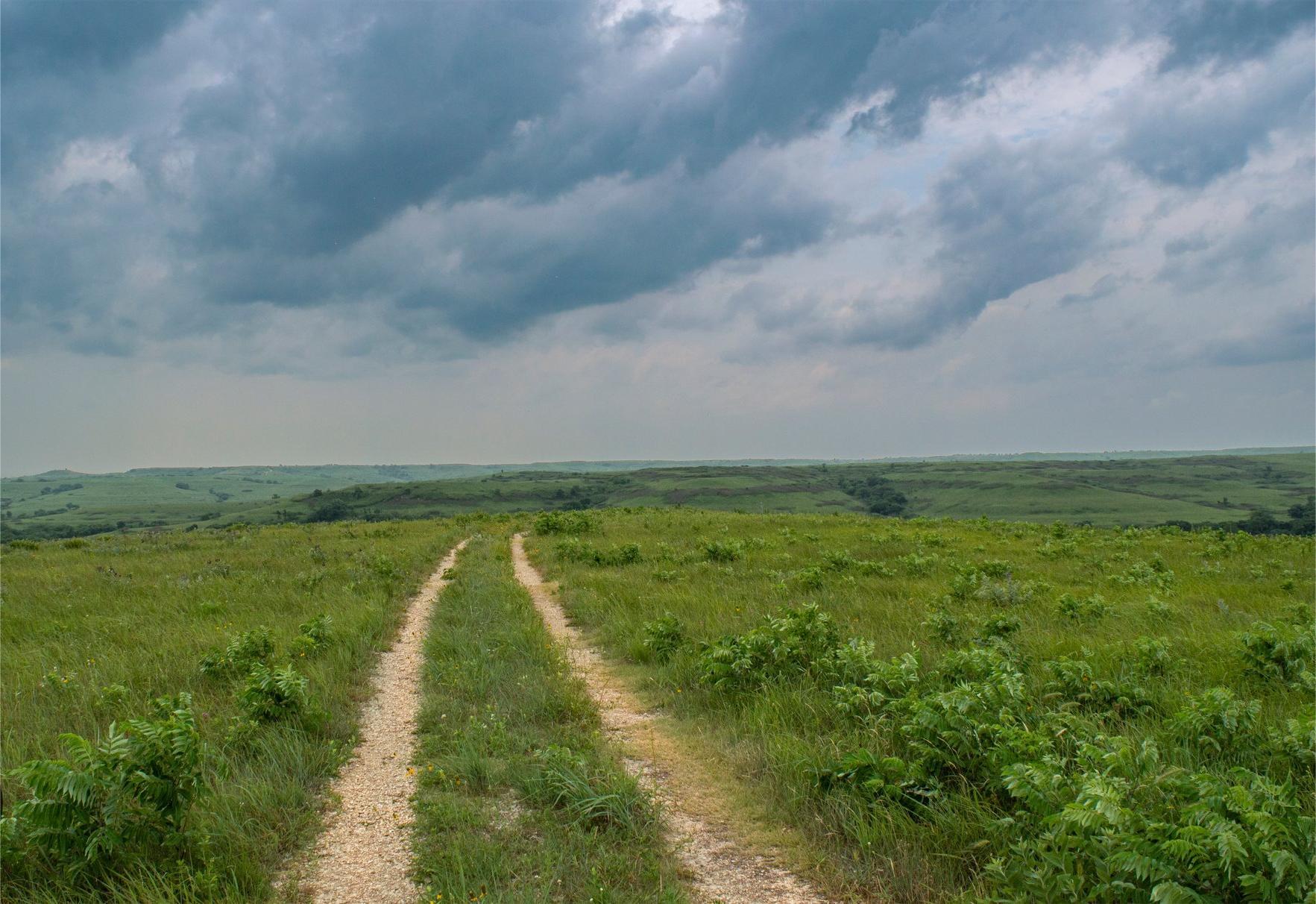 secrets-of-kansas-konza-prairie