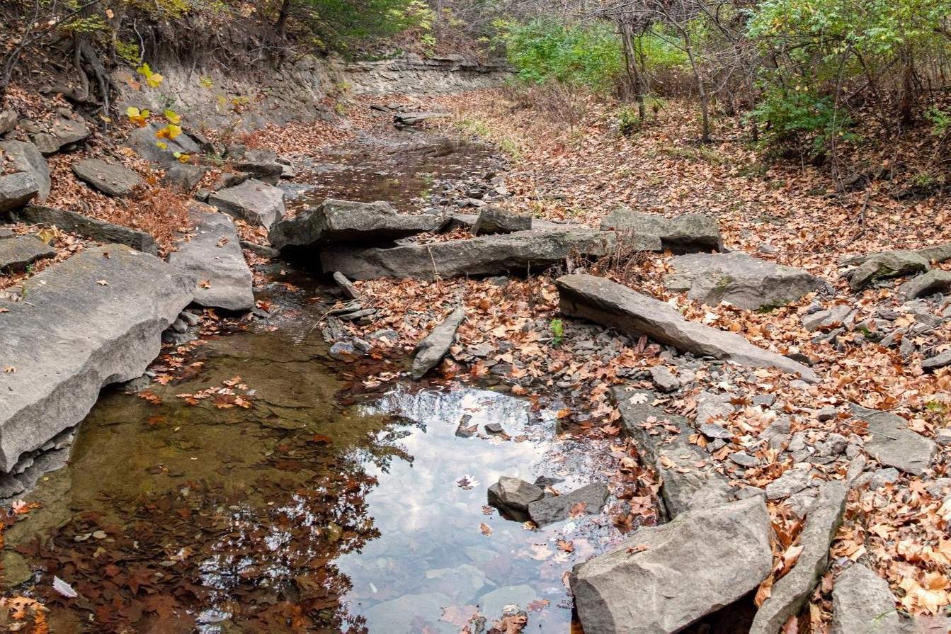 secrets-of-kansas-prairie-streams