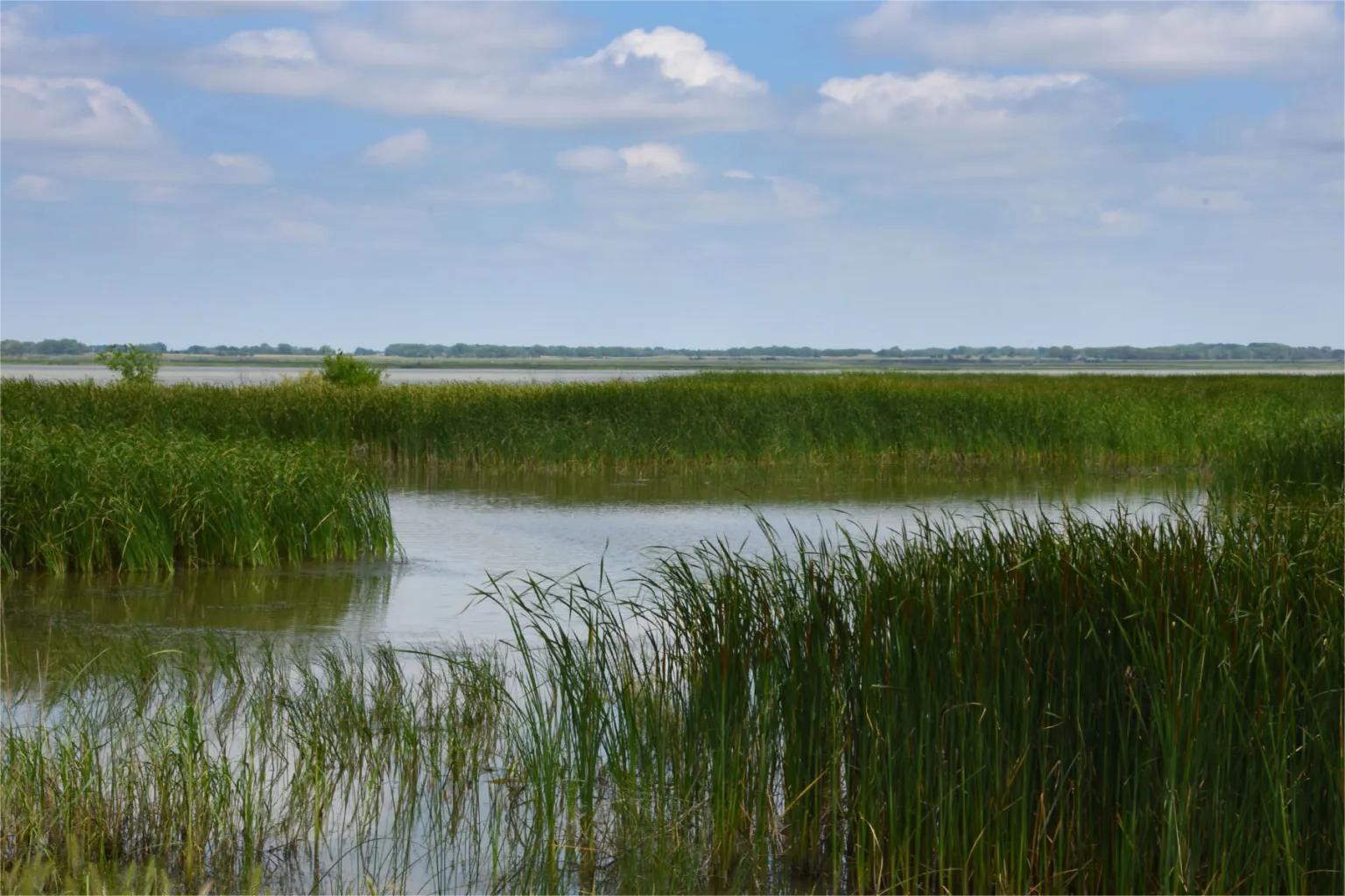 secrets-of-kansas-quivira-refuge-wetlands