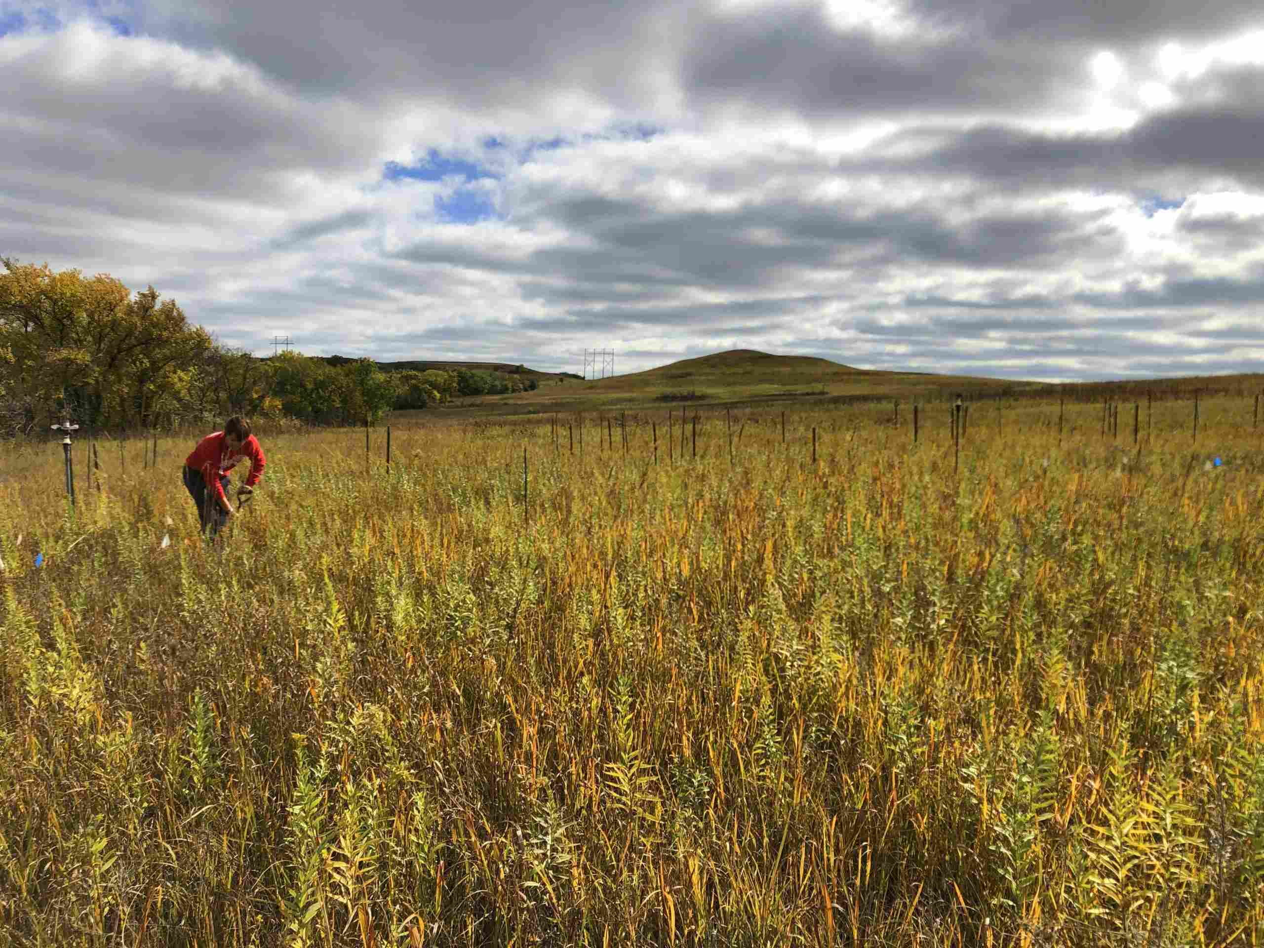 secrets-of-kansass-konza-prairie