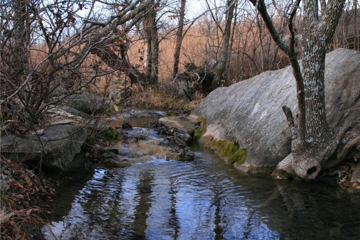 secrets-of-kansass-konza-prairie-streams