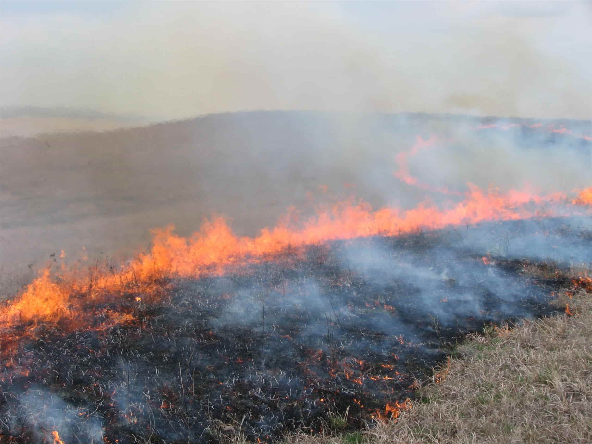 secrets-of-kansass-tallgrass-prairie-fire-demonstrations