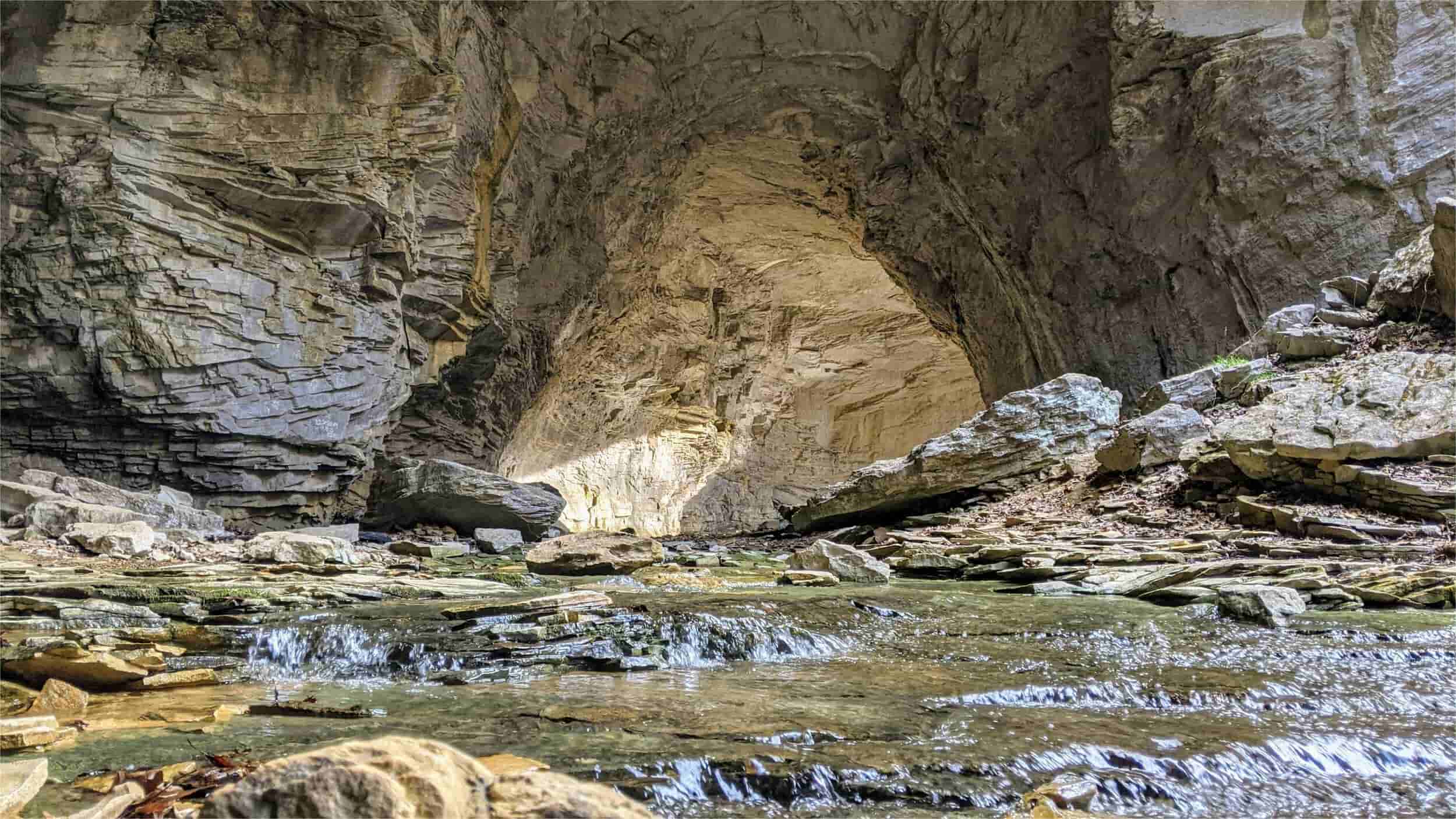 secrets-of-kentuckys-carter-caves-bat-roosts