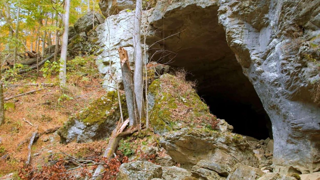 secrets-of-kentuckys-carter-caves-ecosystem