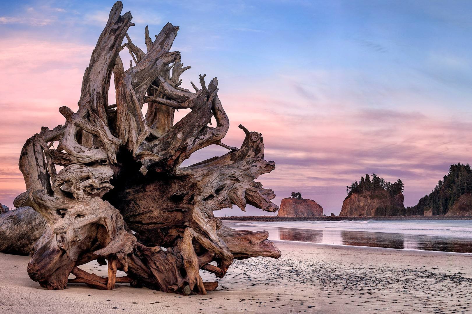 secrets-of-la-push-beachs-hidden-sea-stacks