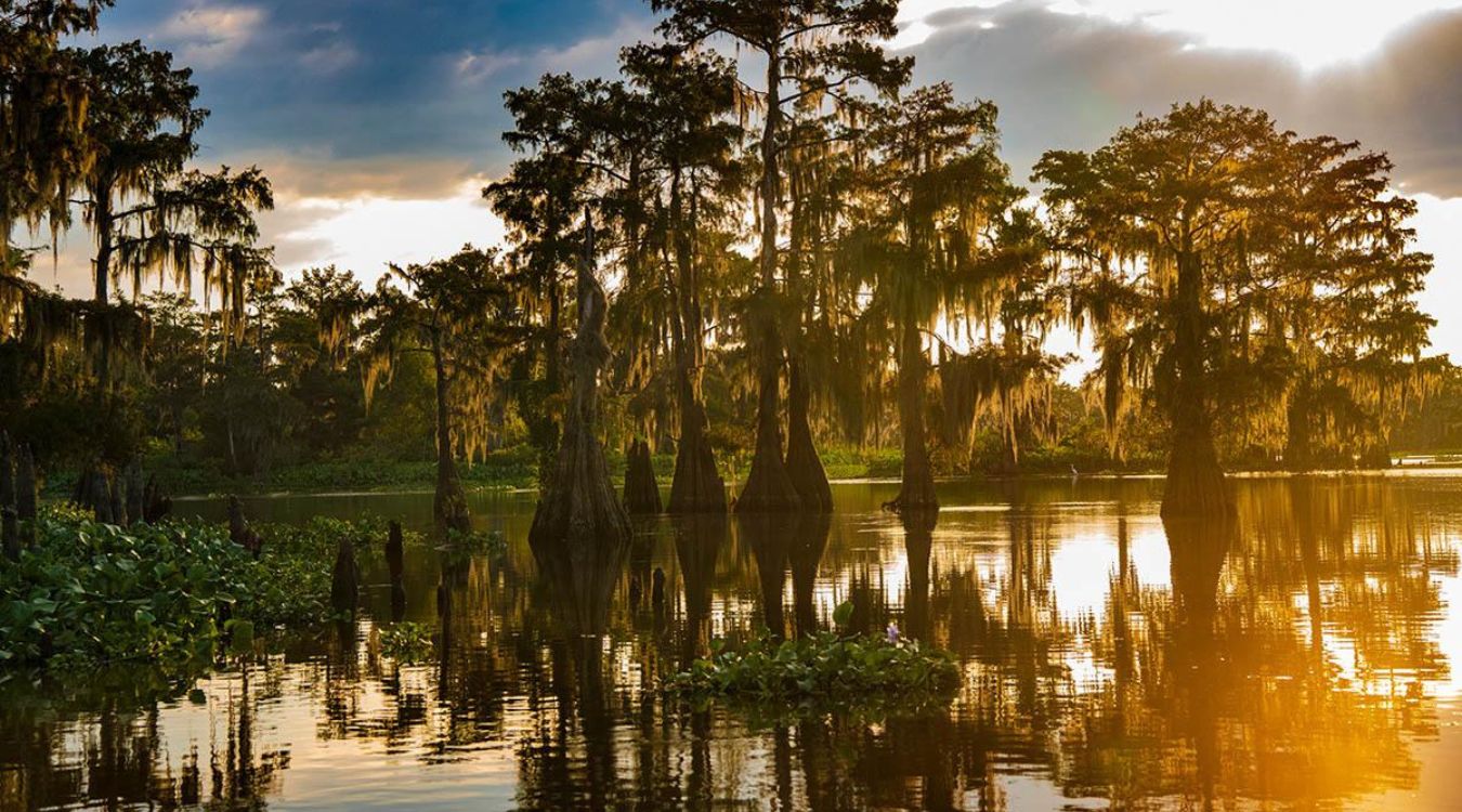 secrets-of-louisianas-atchafalaya-spillway-bends
