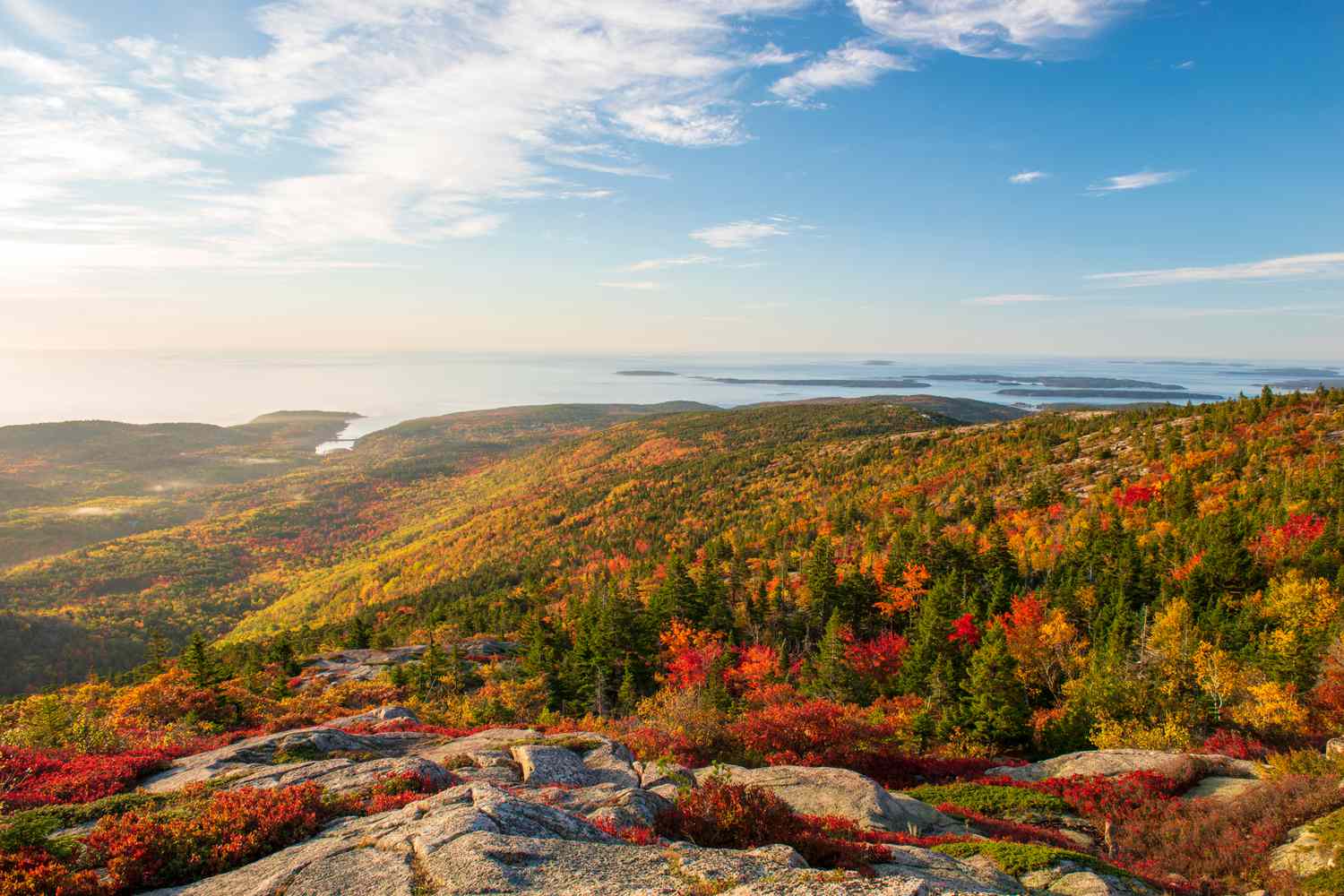 secrets-of-maines-acadia-forest-carbon-studies