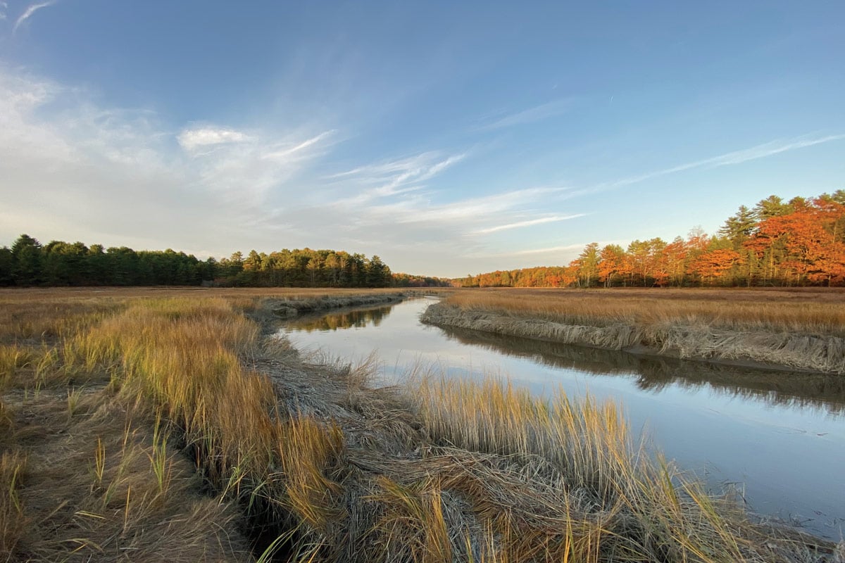 secrets-of-maines-coastal-marshes