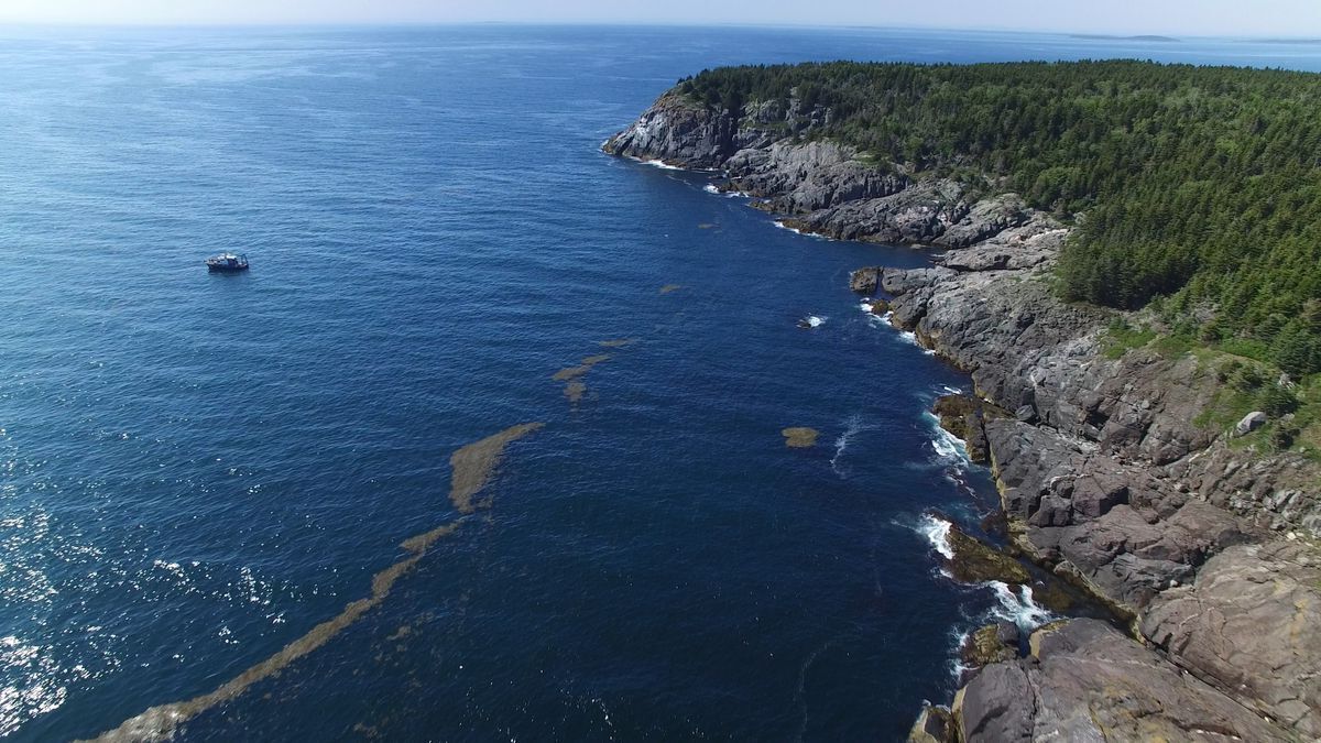 secrets-of-maines-coastal-research-institutes