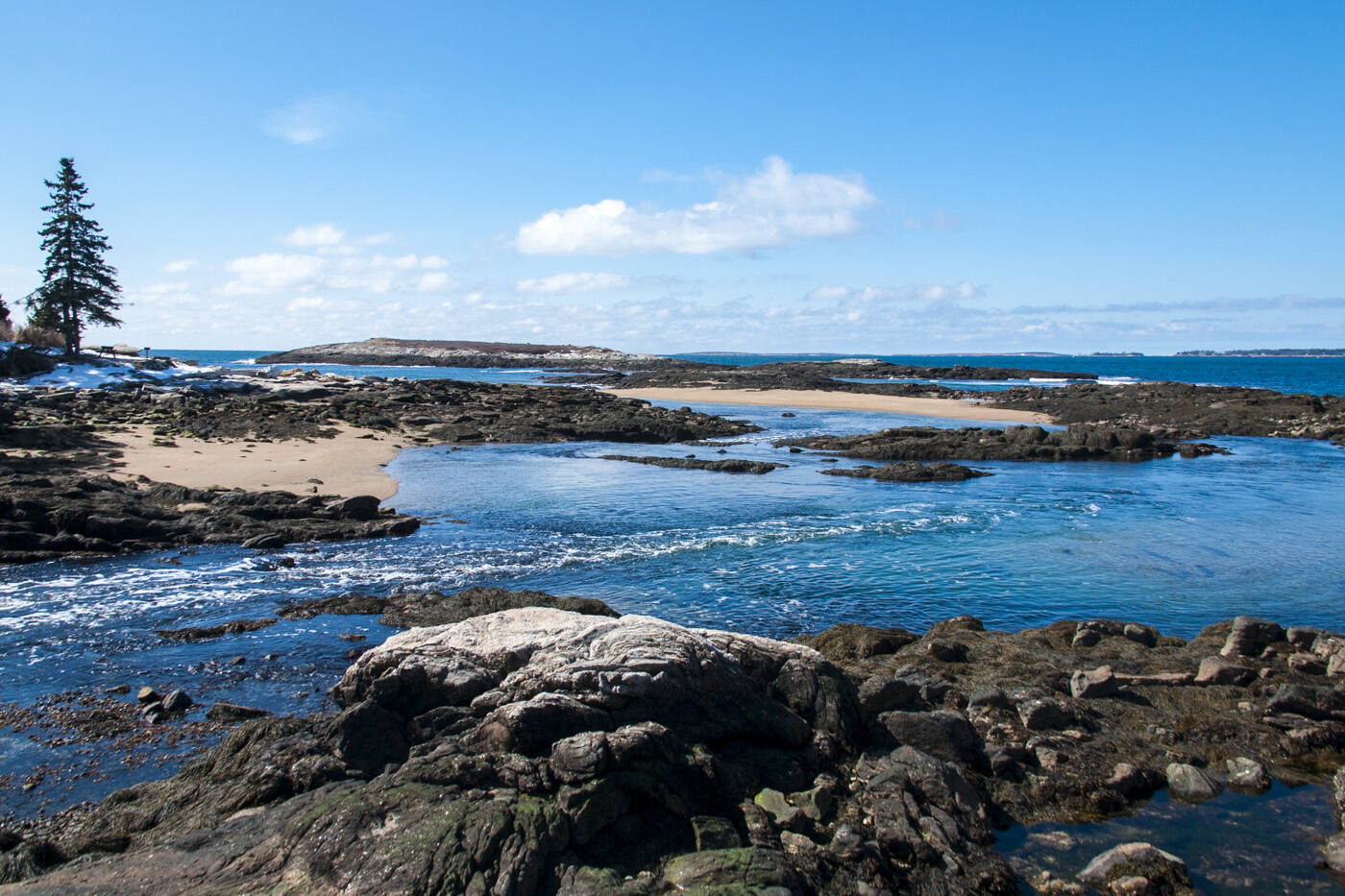 secrets-of-maines-reid-state-park-tidal-pools