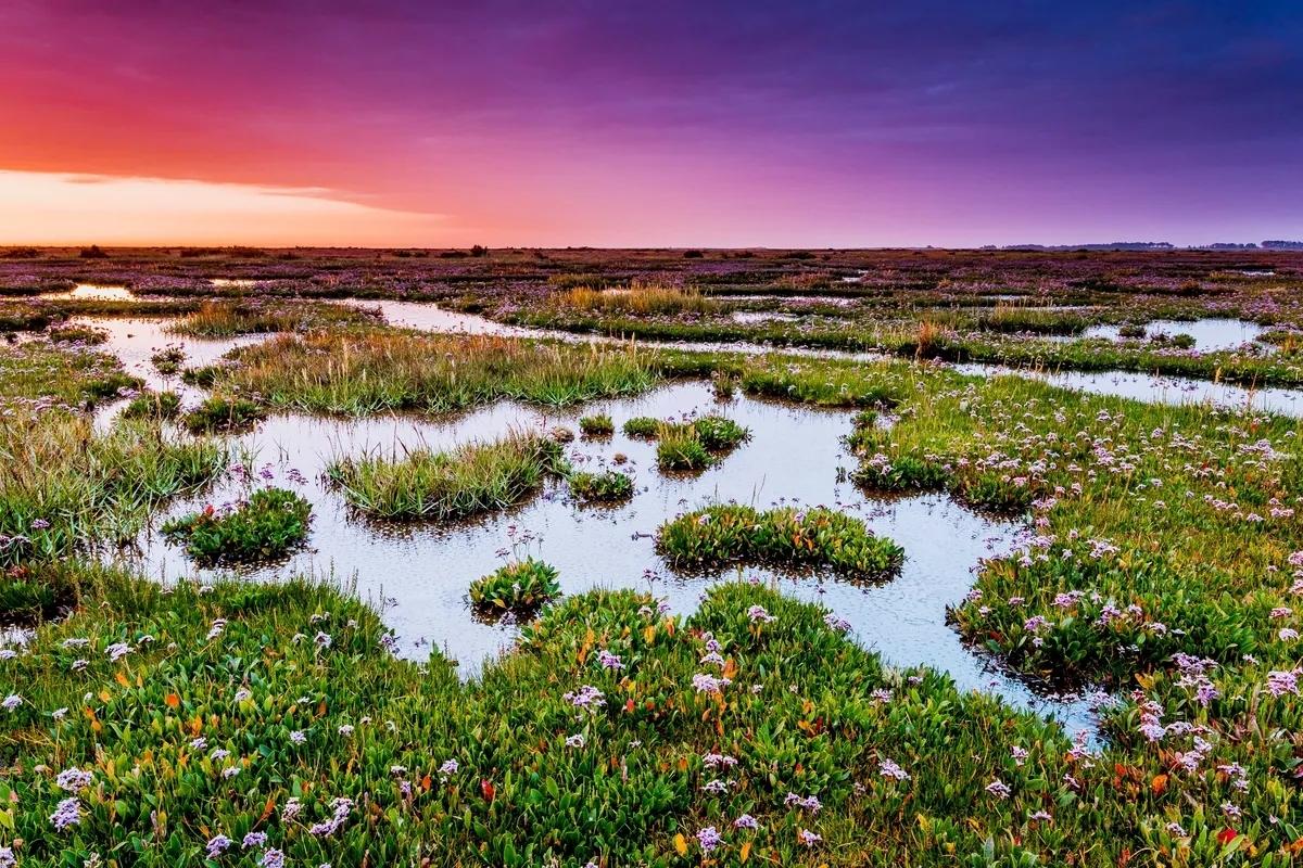 secrets-of-maines-scarborough-marsh-lagoons