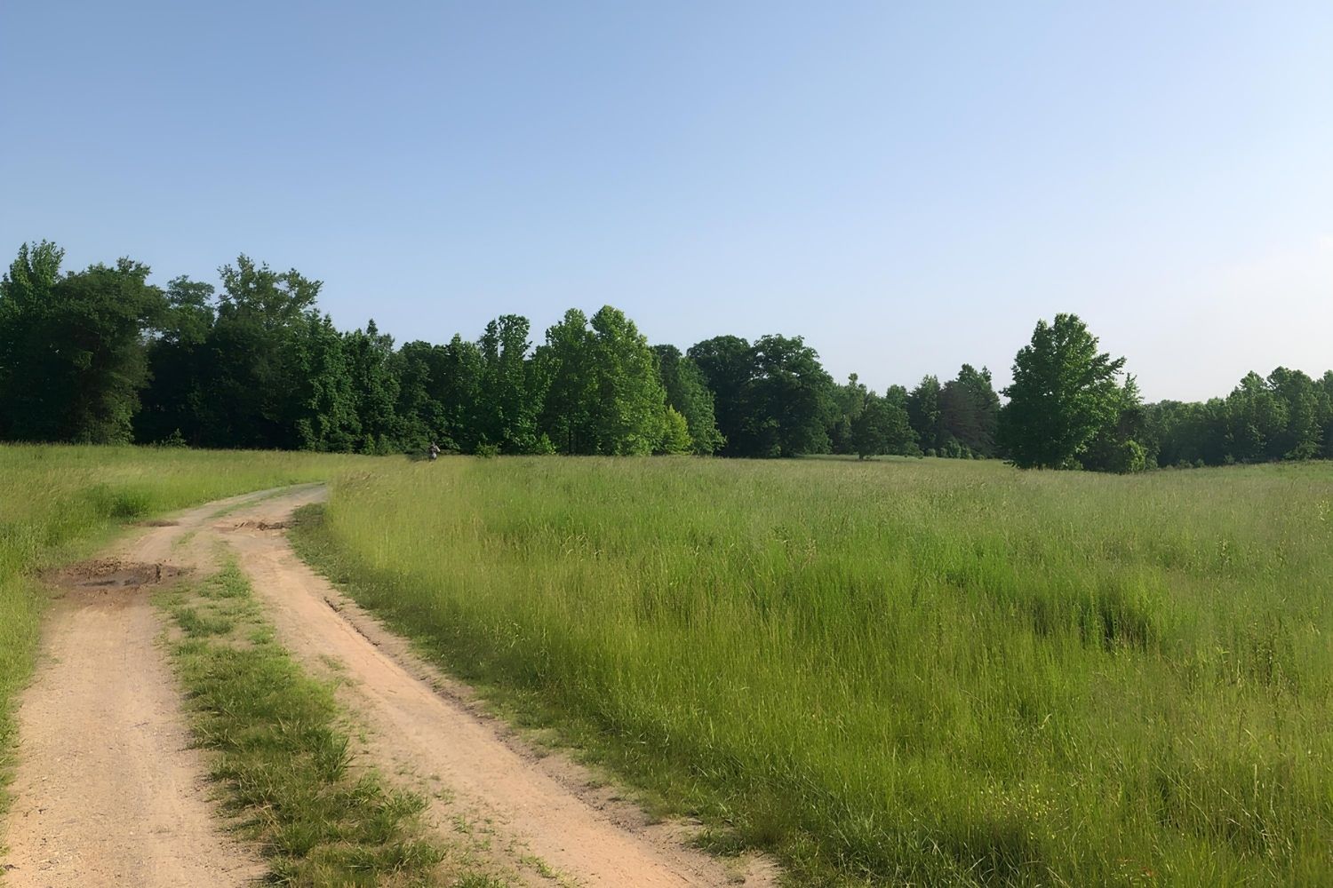 secrets-of-marylands-patuxent-wildlife-research-center-bird-stations