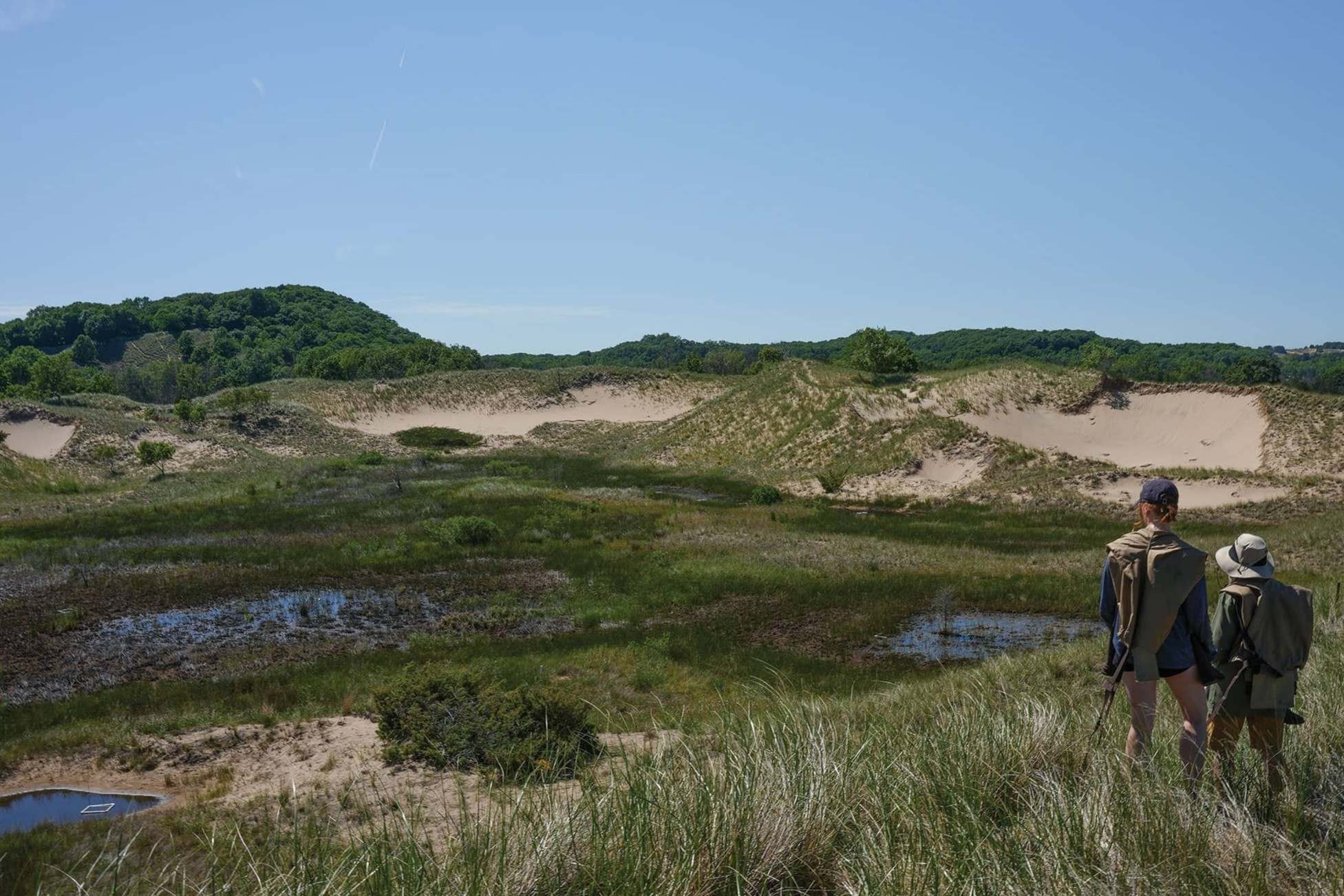 secrets-of-michigans-coastal-dune-wetlands