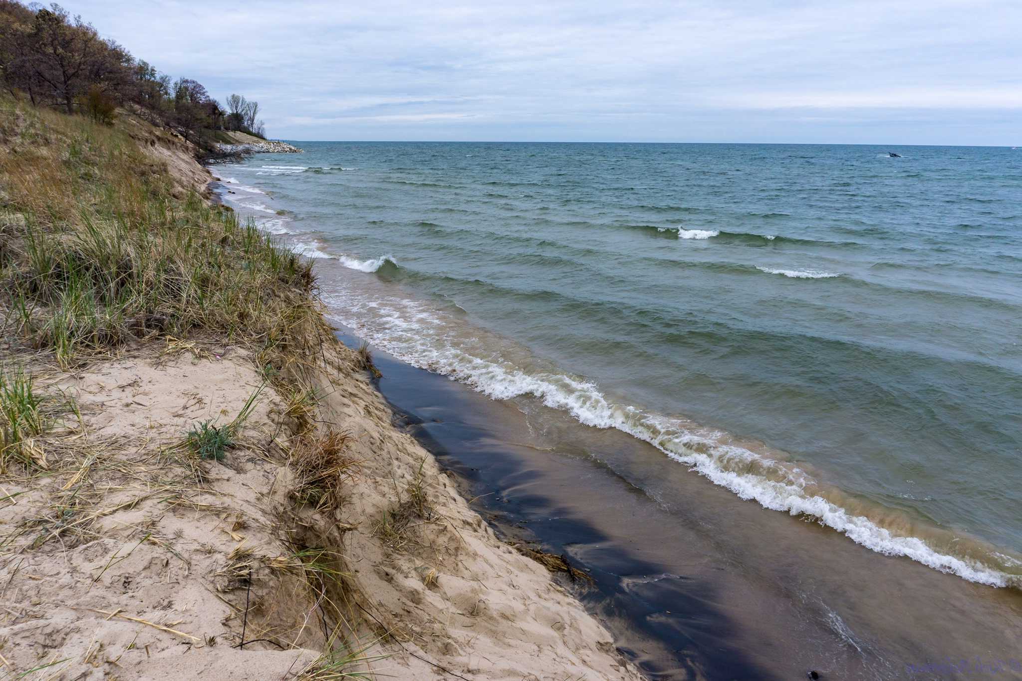 secrets-of-michigans-grand-mere-state-park-wetlands