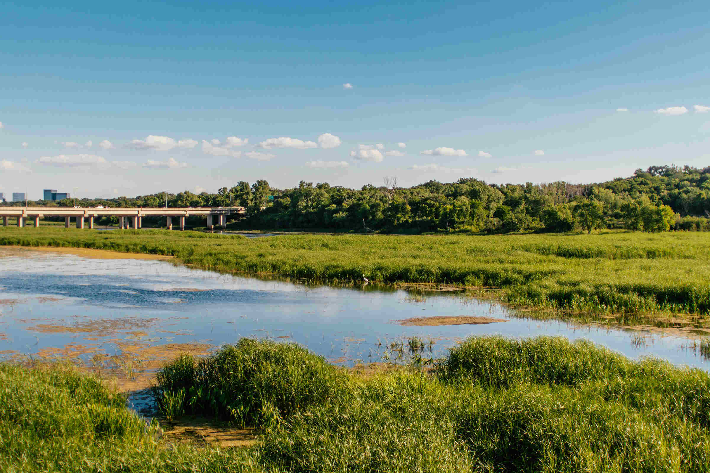 secrets-of-minnesotas-agassiz-refuge-wetland-channels