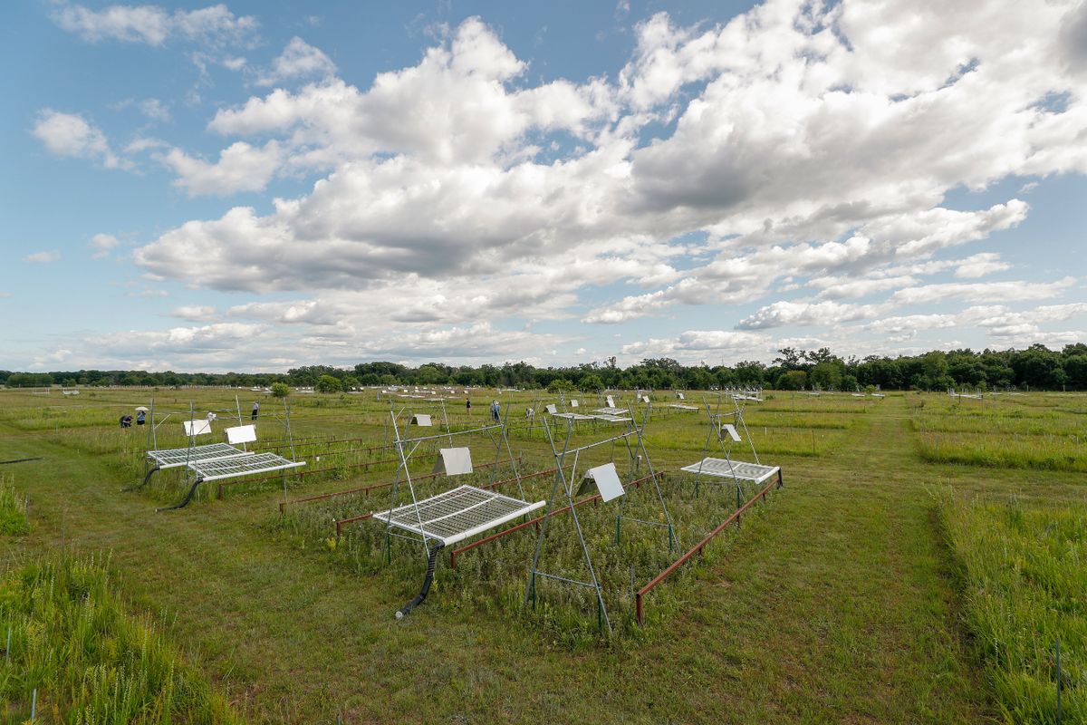 Secrets-Of-Minnesota8217s-Cedar-Creek-Soil-Research-Plots secrets-of-minnesotas-cedar-creek-soil-research-plots