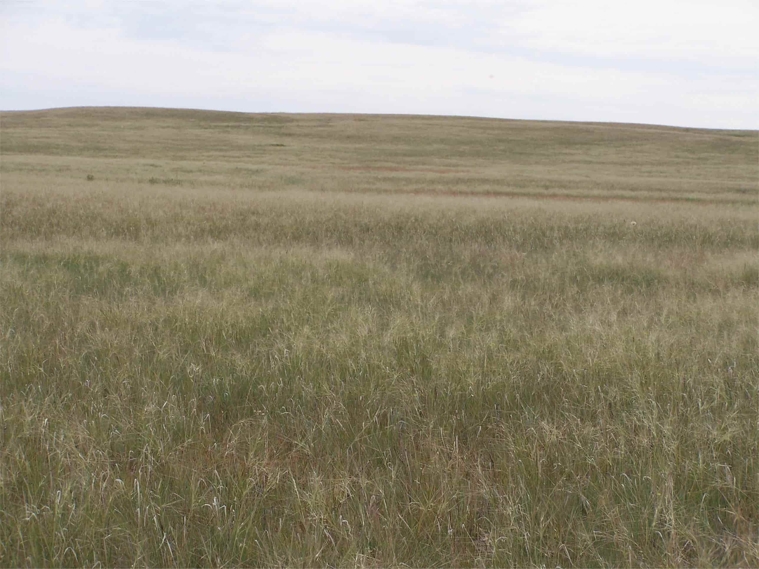 secrets-of-montanas-bowdoin-wildlife-refuge-ponds