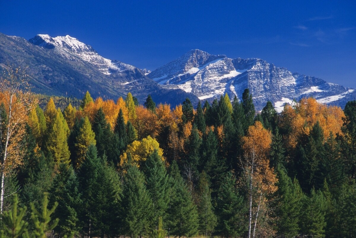 secrets-of-montanas-cabinet-mountains-streams