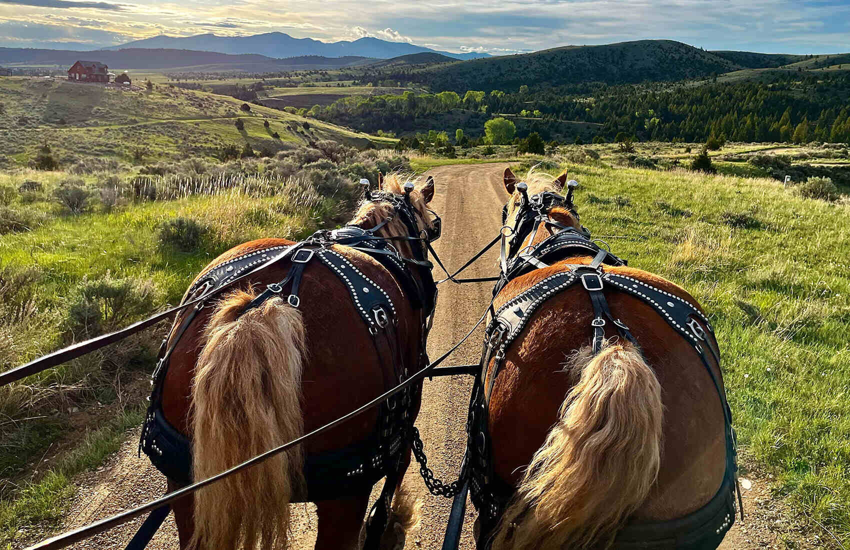 secrets-of-montanas-carroll-trail-stagecoach-barns