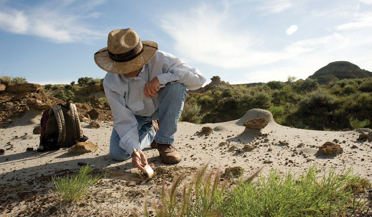 secrets-of-montanas-egg-mountain-fossil-beds