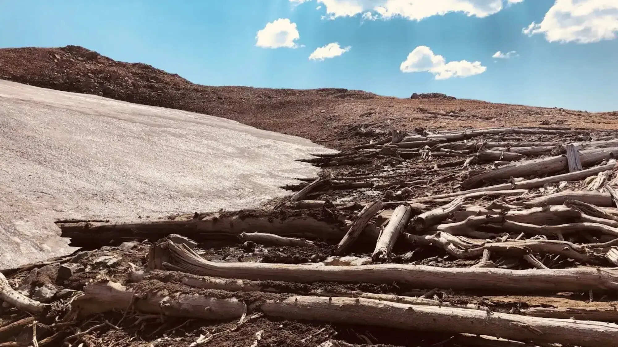 secrets-of-montanas-forest-research-institute