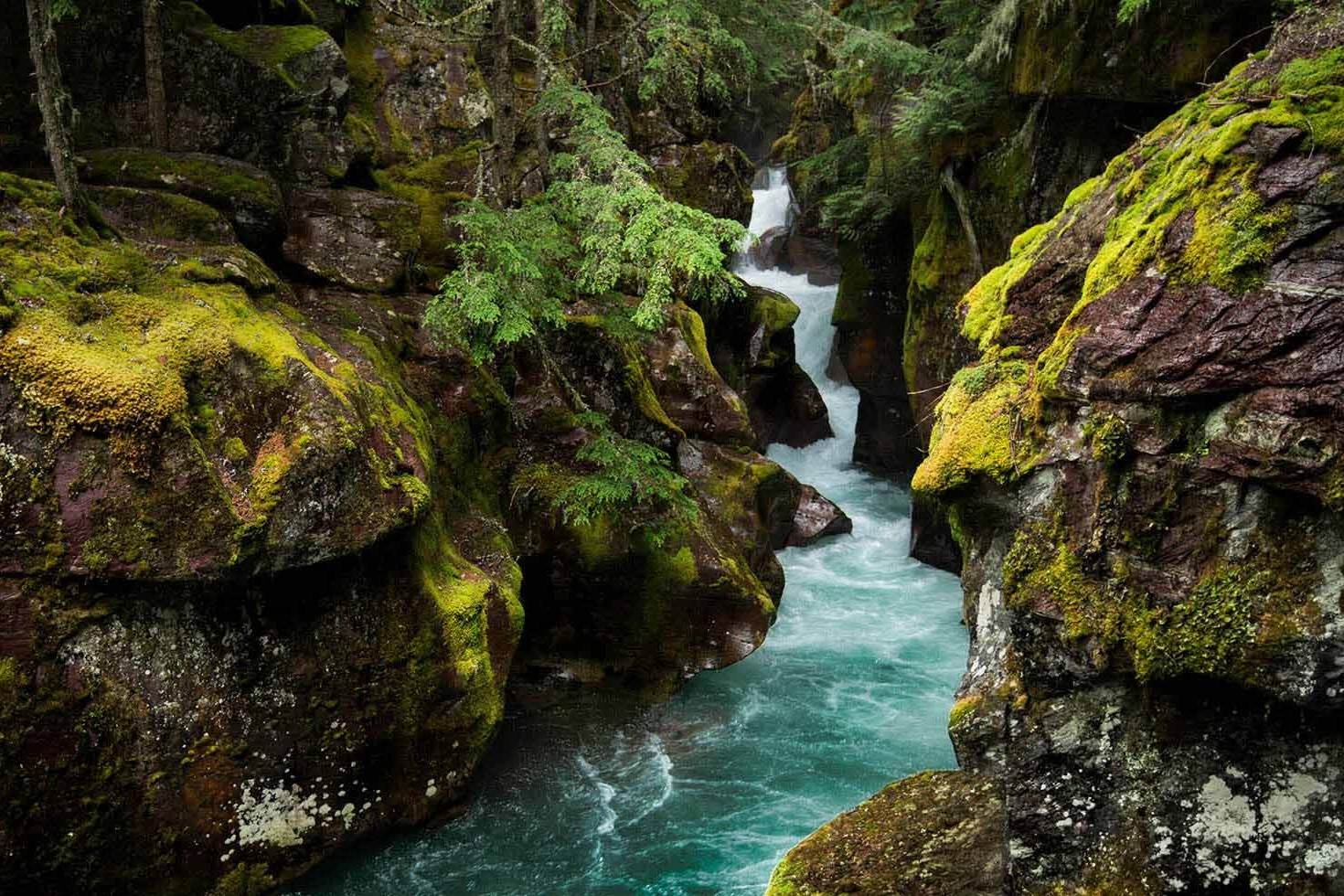 secrets-of-montanas-glacier-park-streams