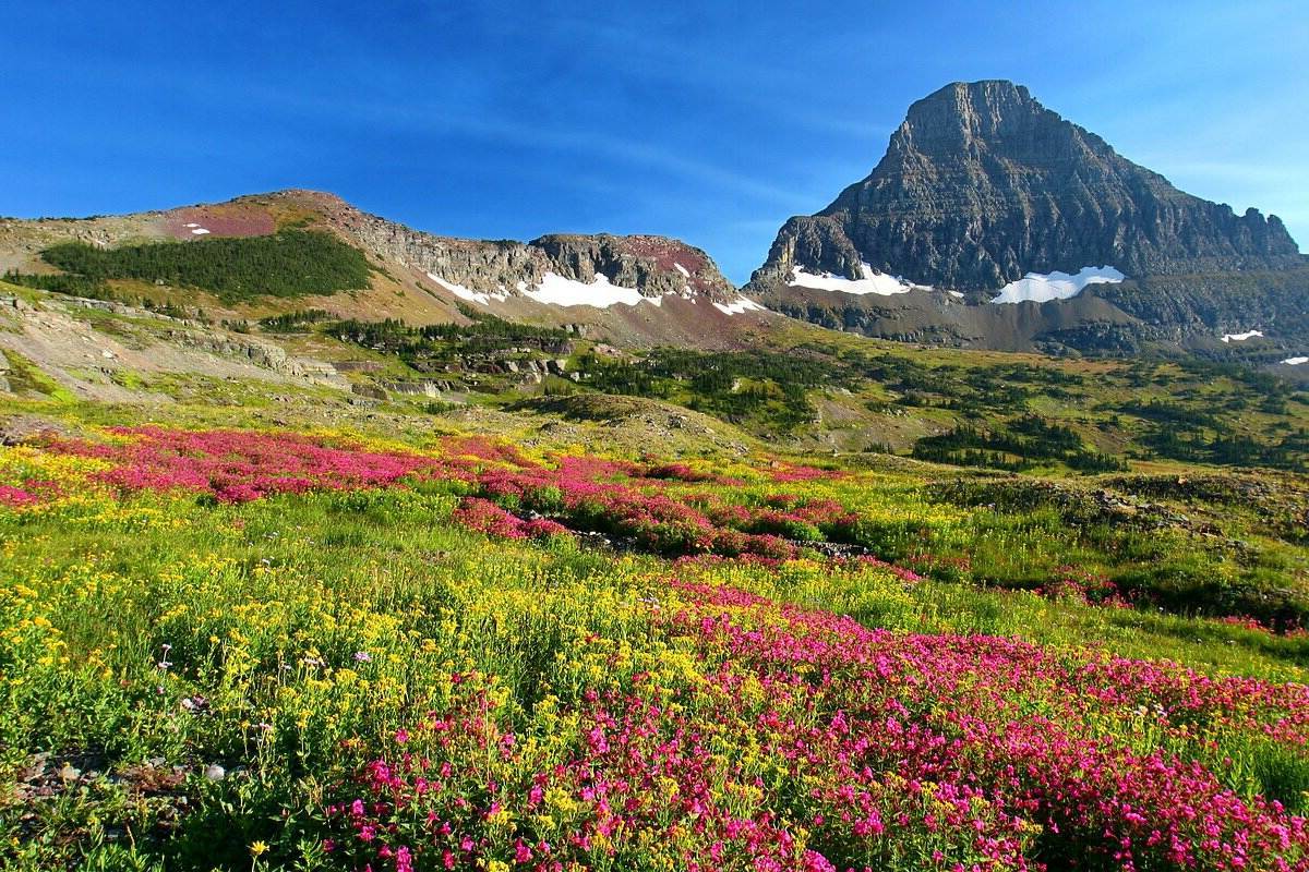secrets-of-montanas-logan-pass-bowls