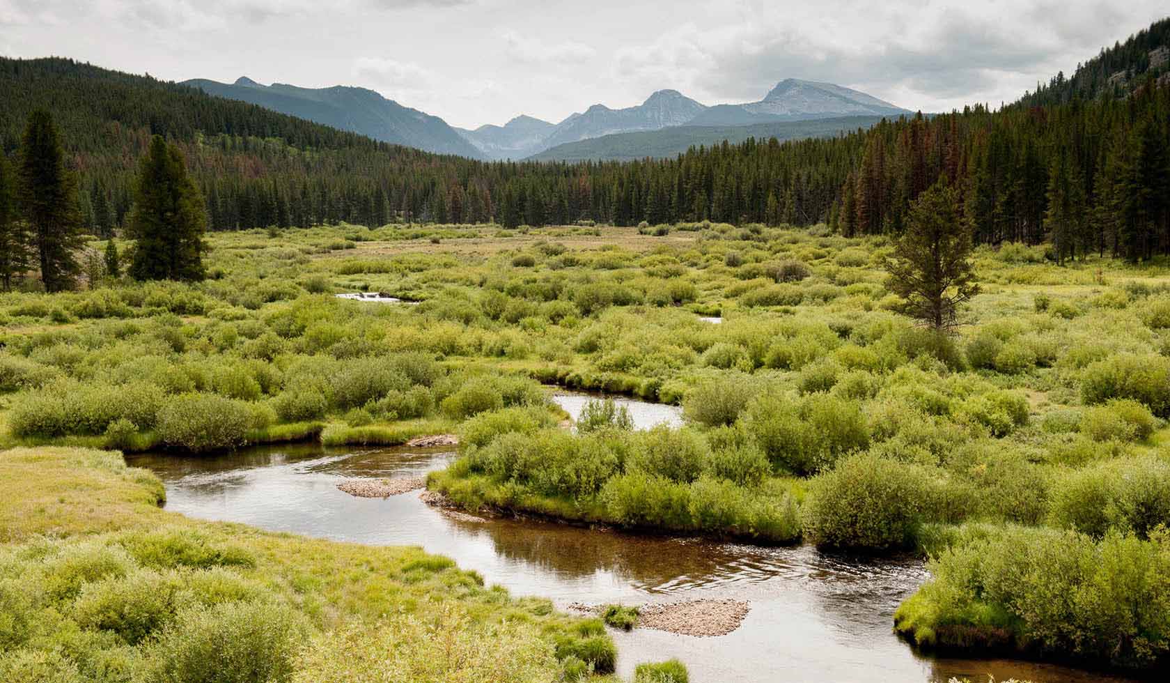 secrets-of-montanas-pioneer-range